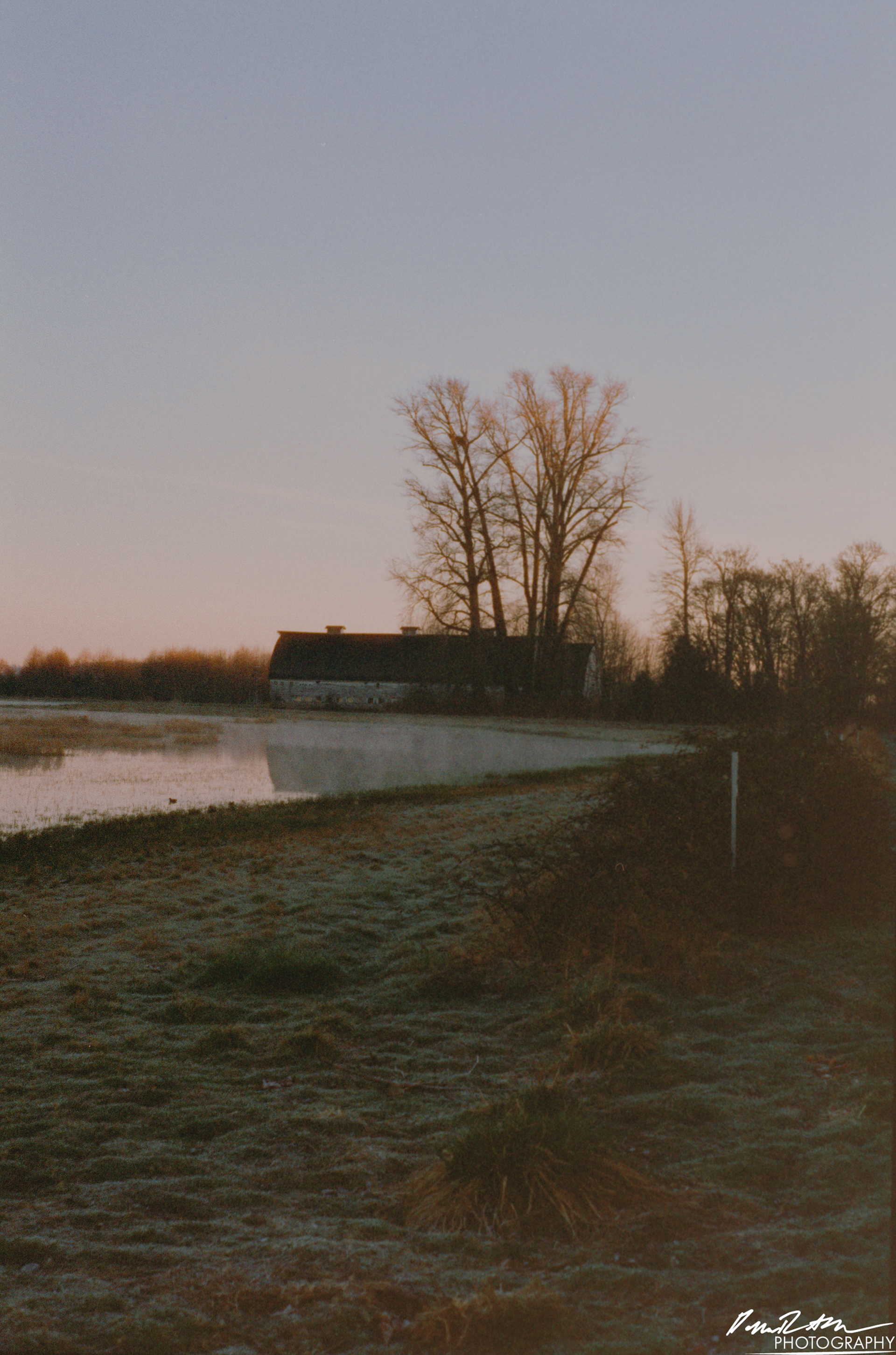 Pheonix 200 - Nisqually Wildlife Preserve WA