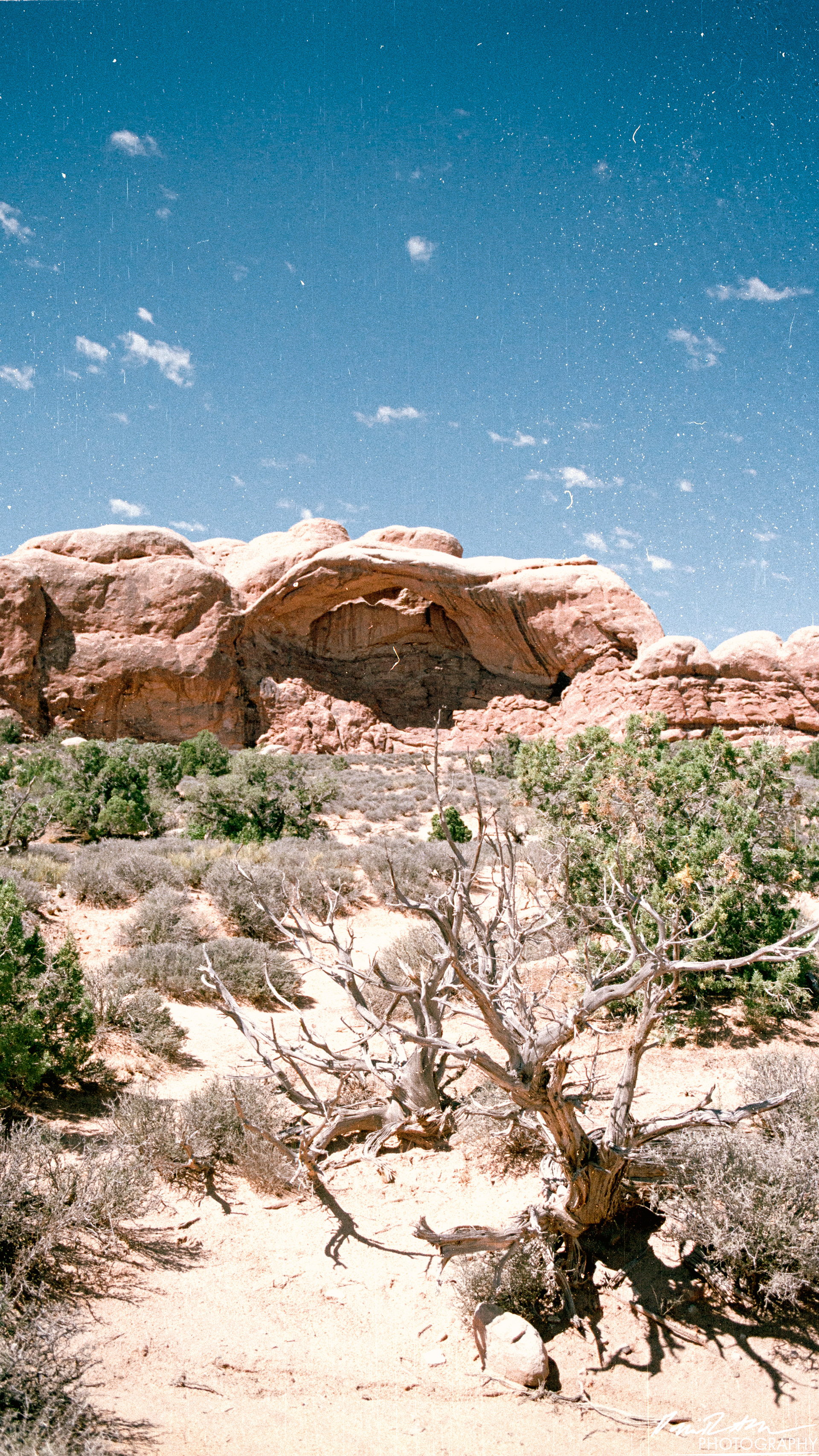 Arches on 35mm - Arches National Park
