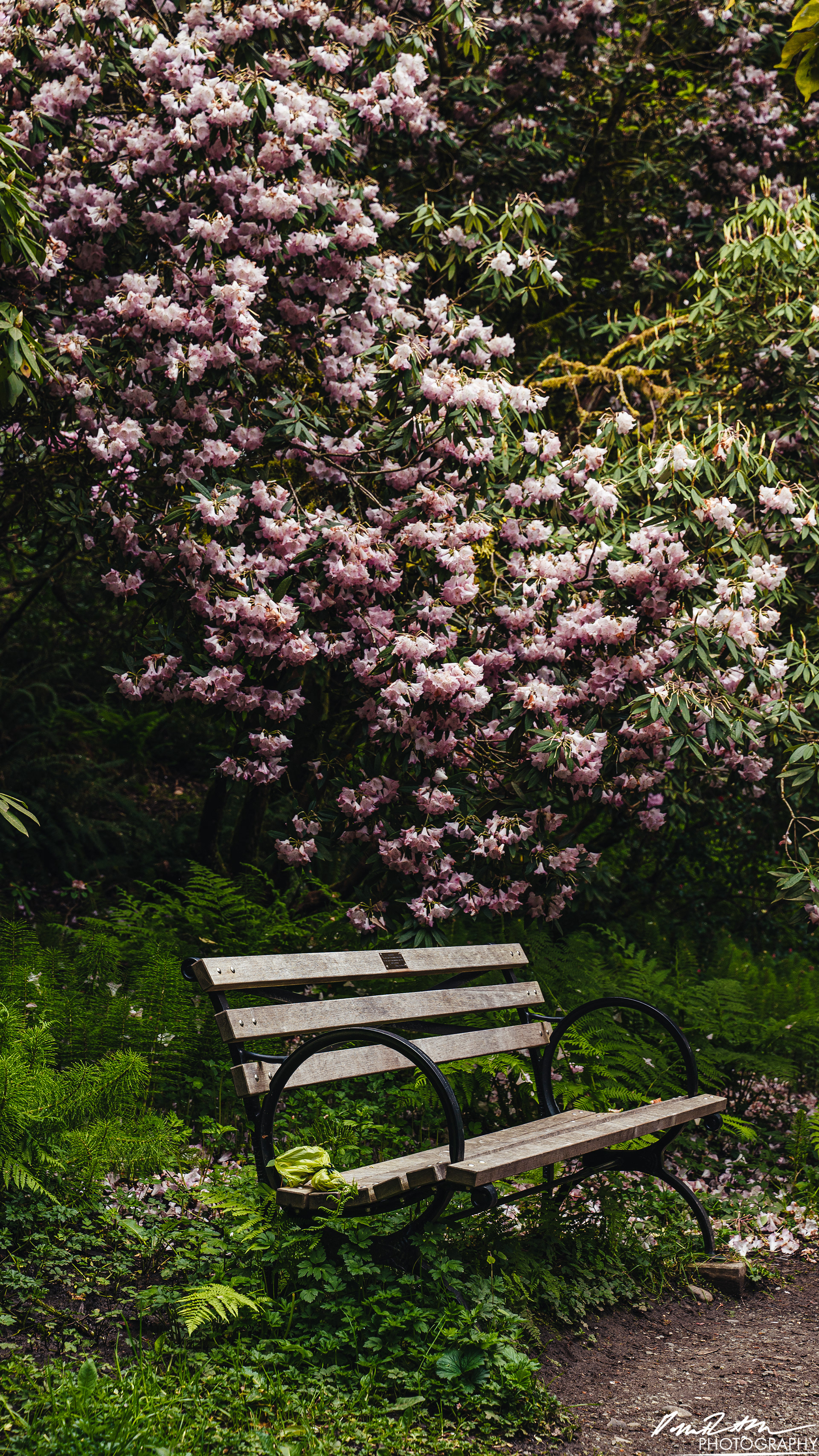All Alone - Seattle WA