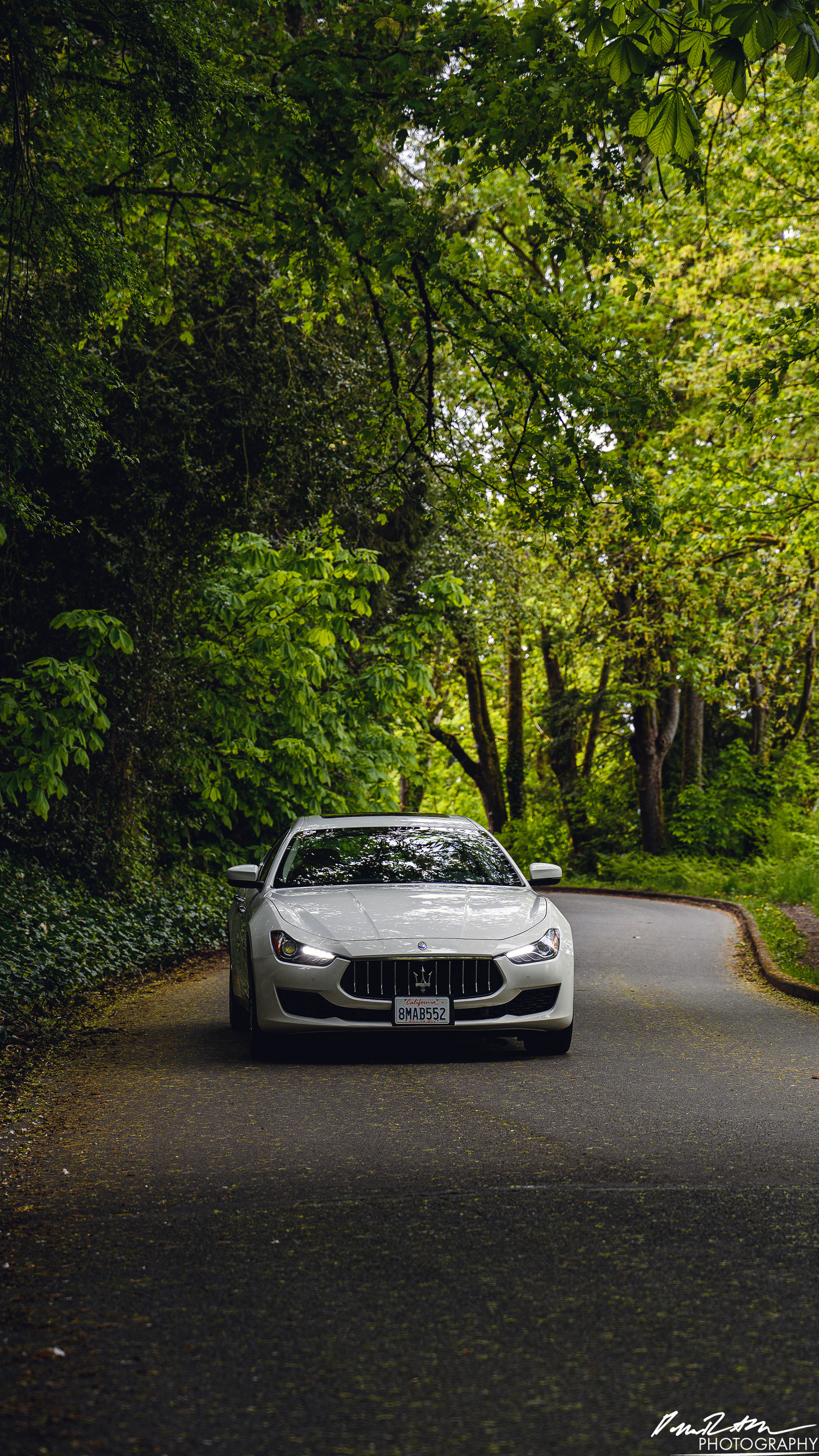 Stand Off - Seattle WA
