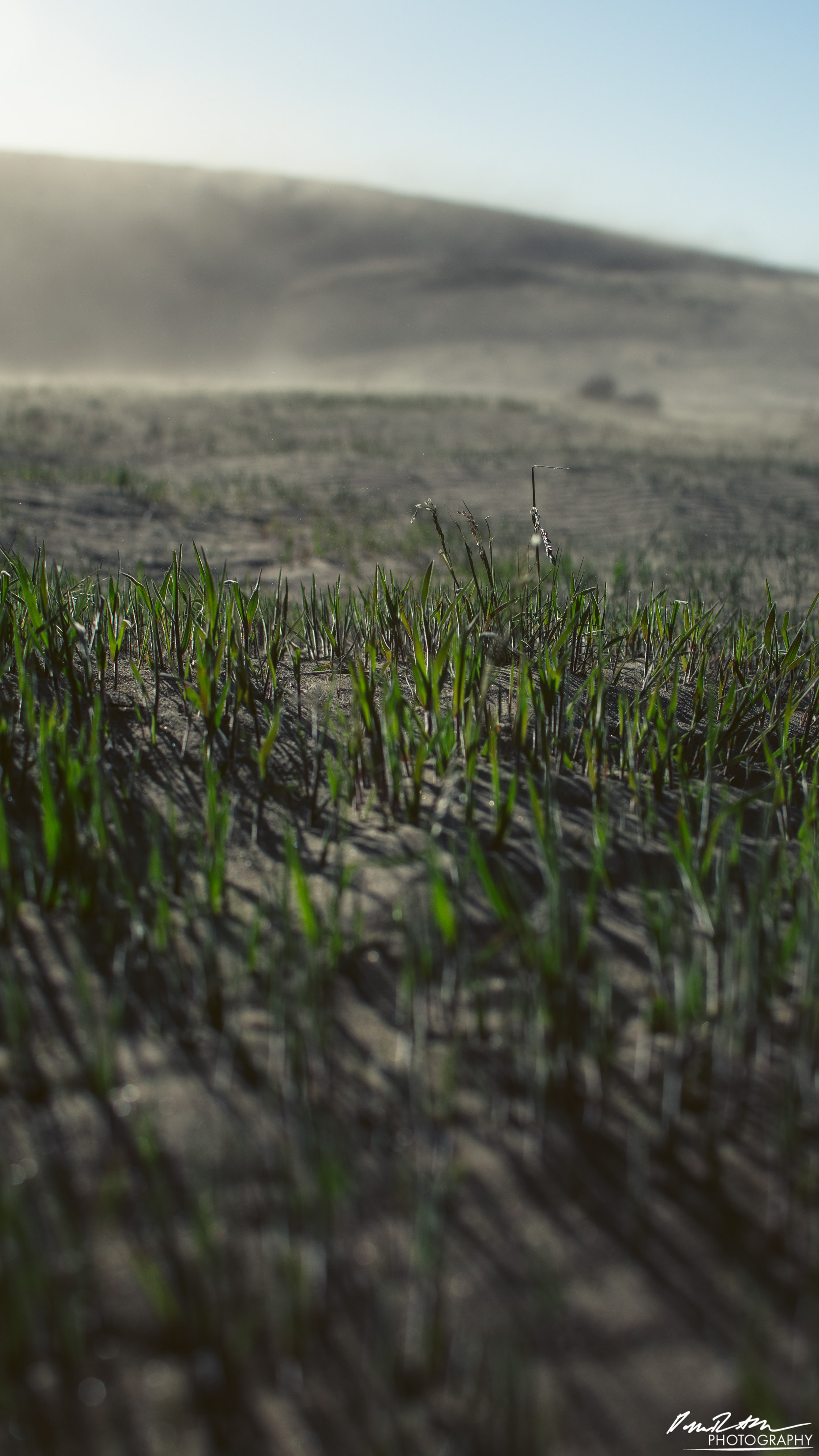 Like Grains of Sand, Hanford Reach