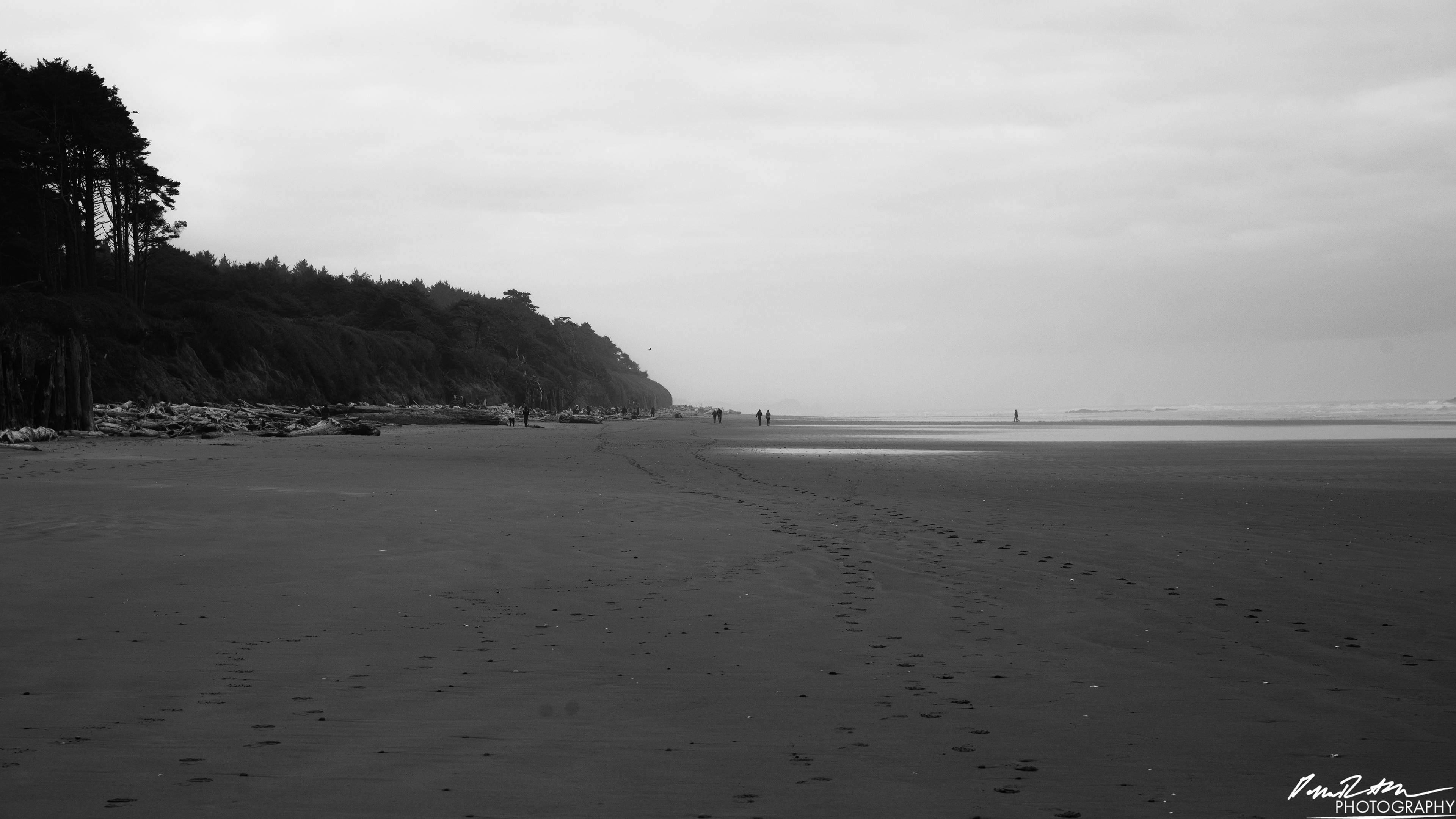 The Beach of Life - Kalaloch 