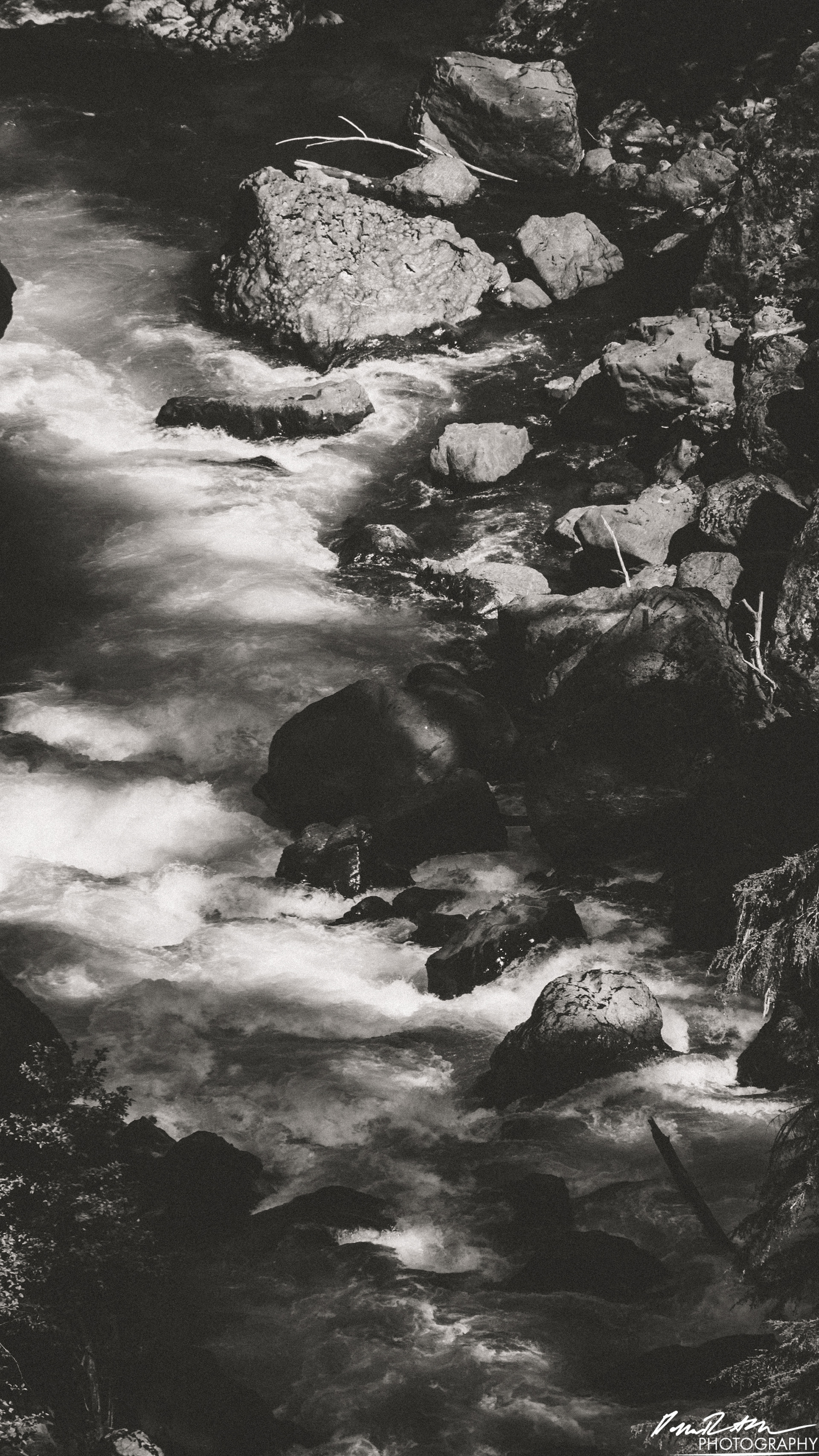 CAUTION - Olympic National Forest