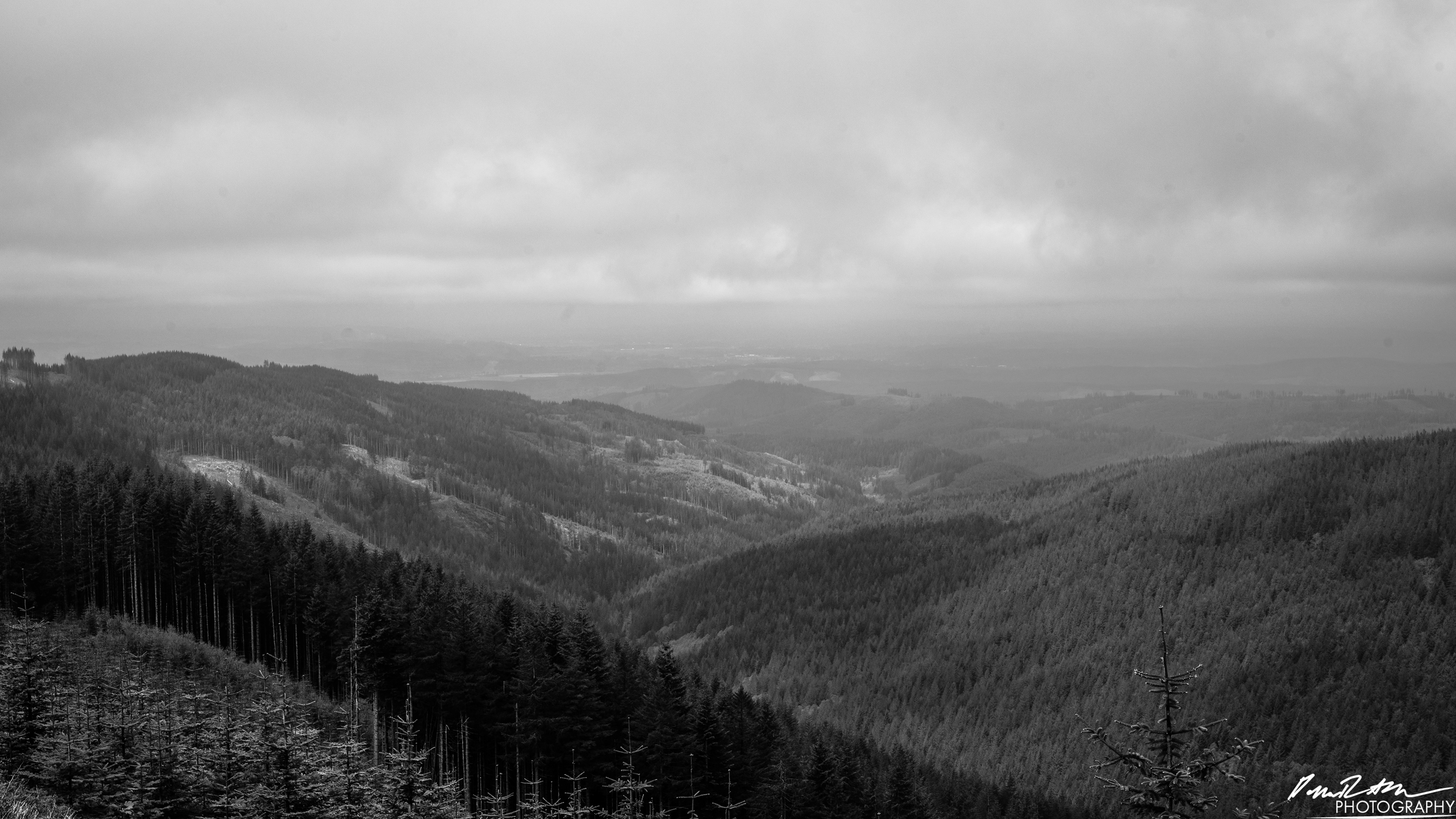 Numbers Station - Olympia WA