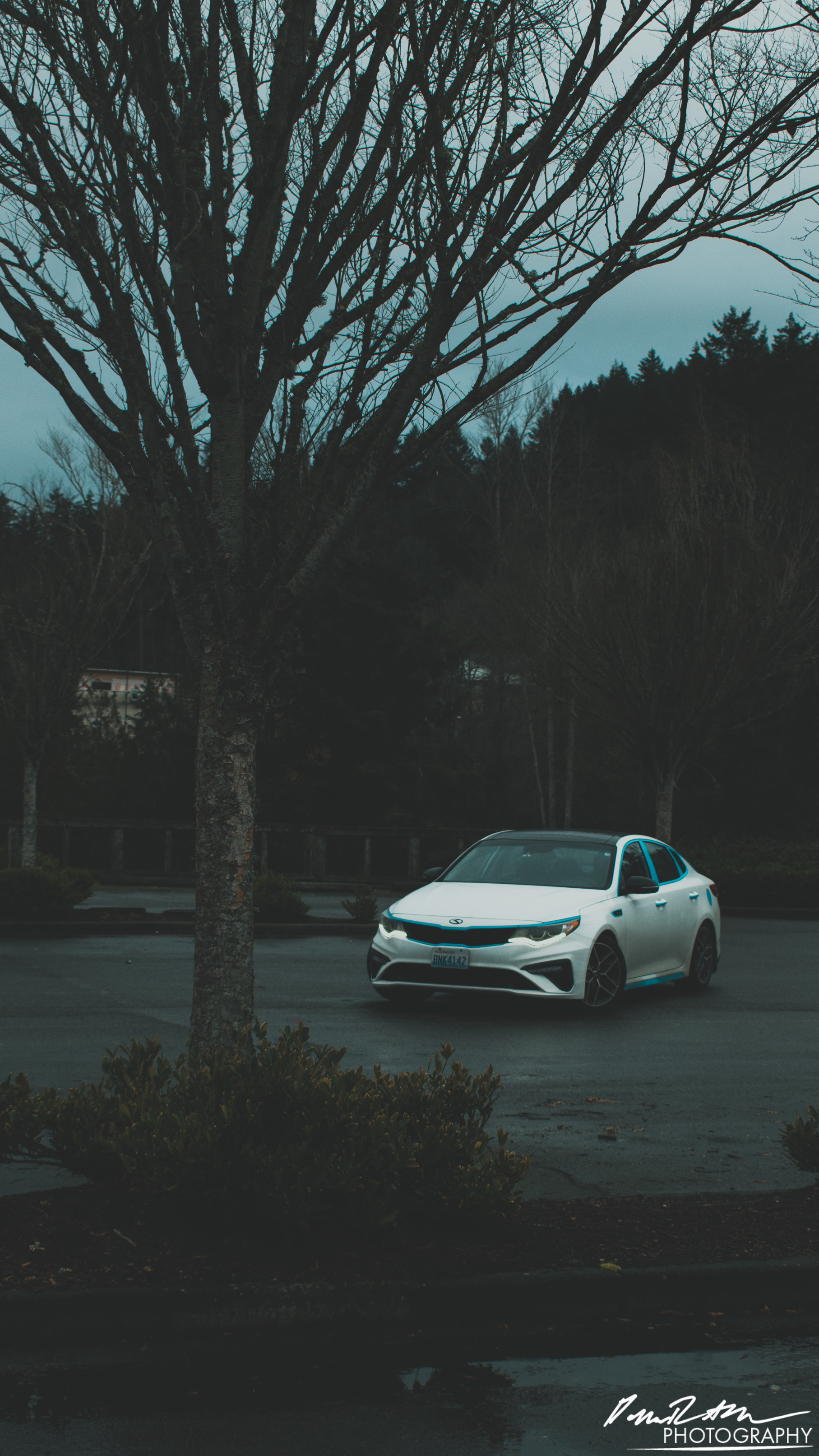 Lone Star, Auburn WA