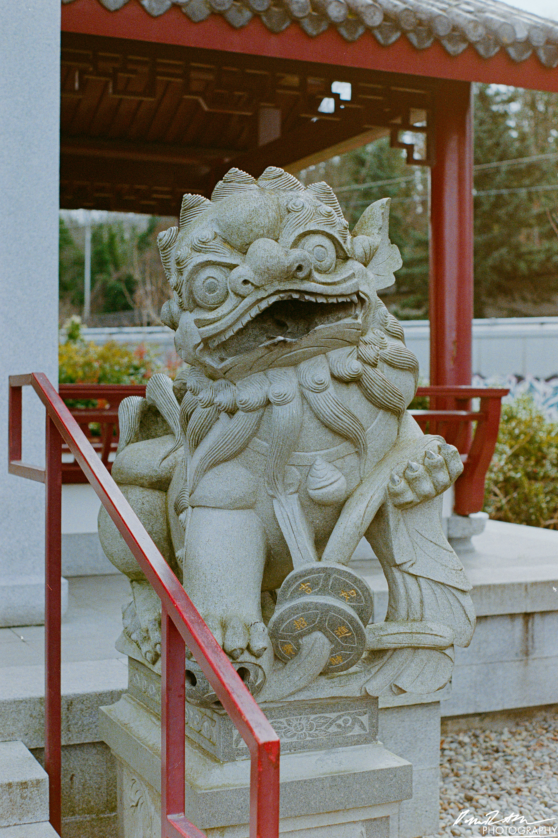 Fujifilm 400 - Tacoma WA