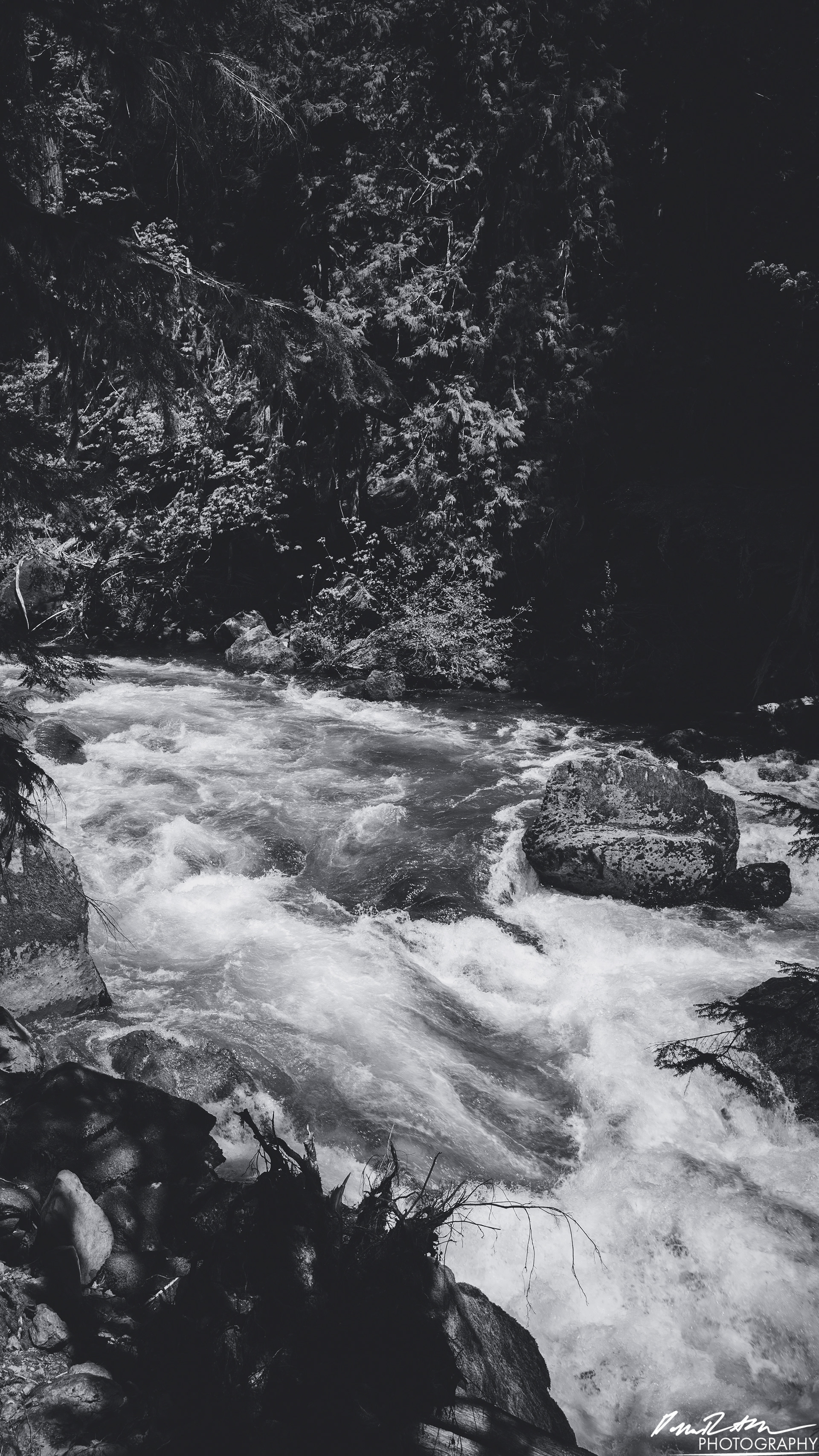Rapids - Lake Cushman