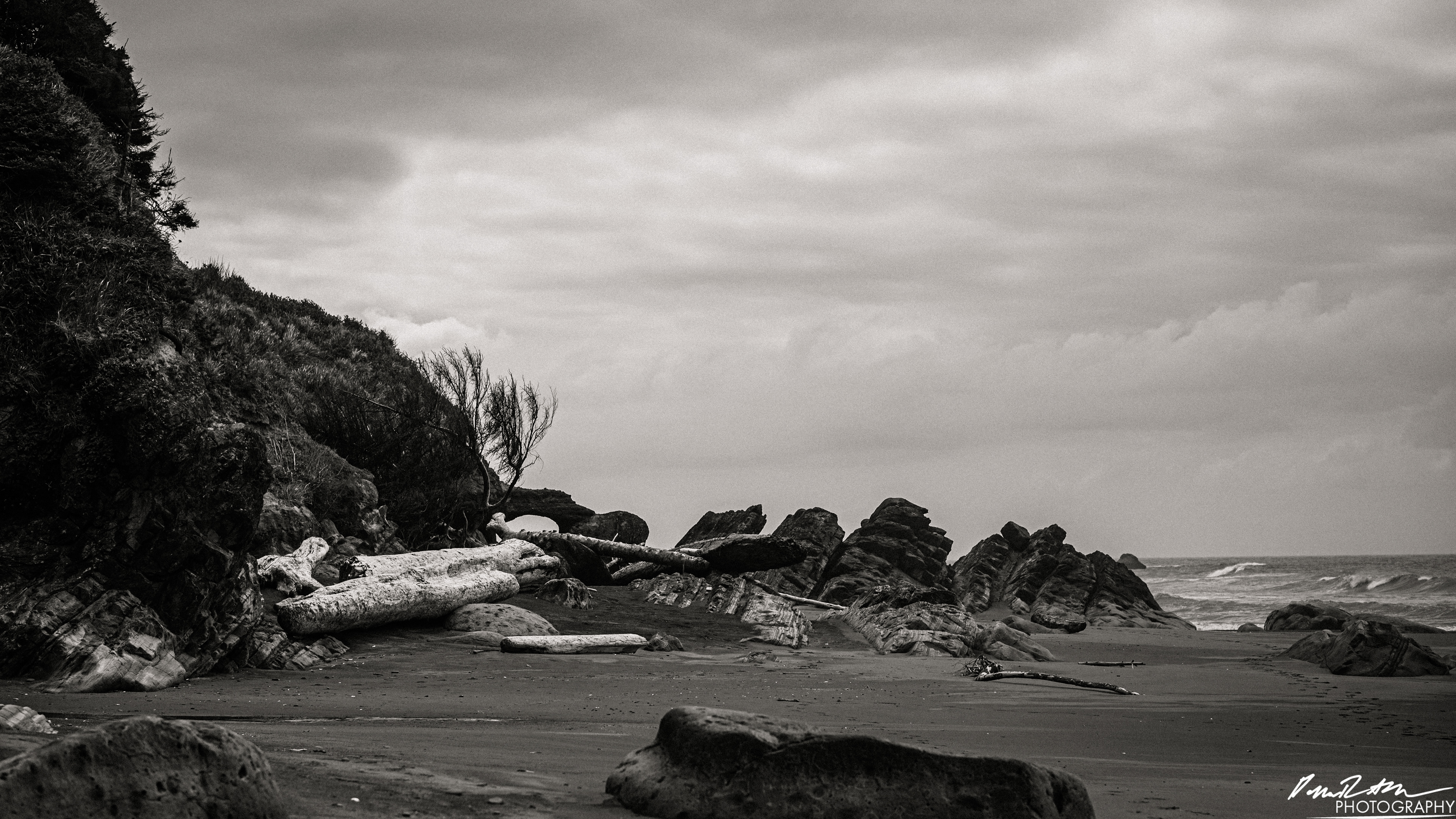 The Beach of Life - Kalaloch 