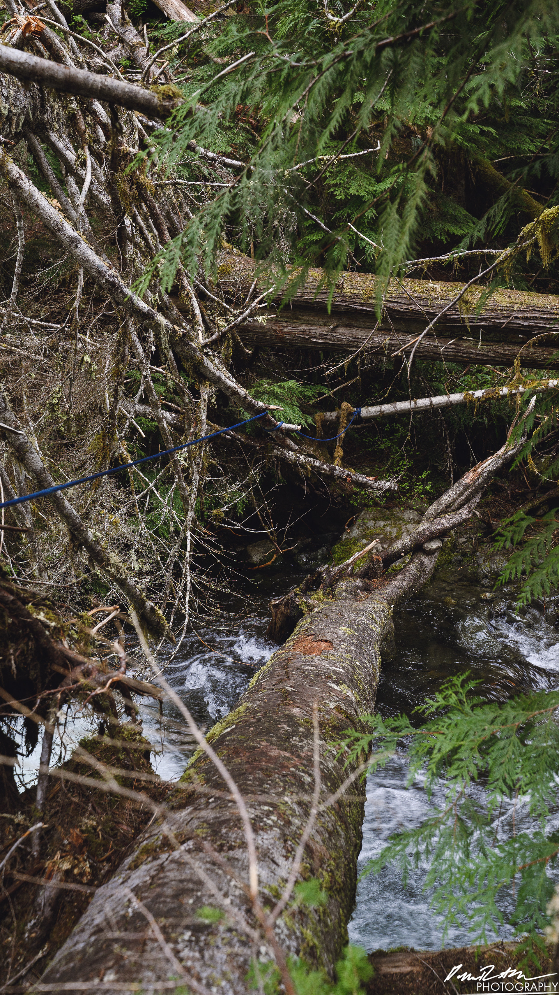 Snow Melt - Lena Lake