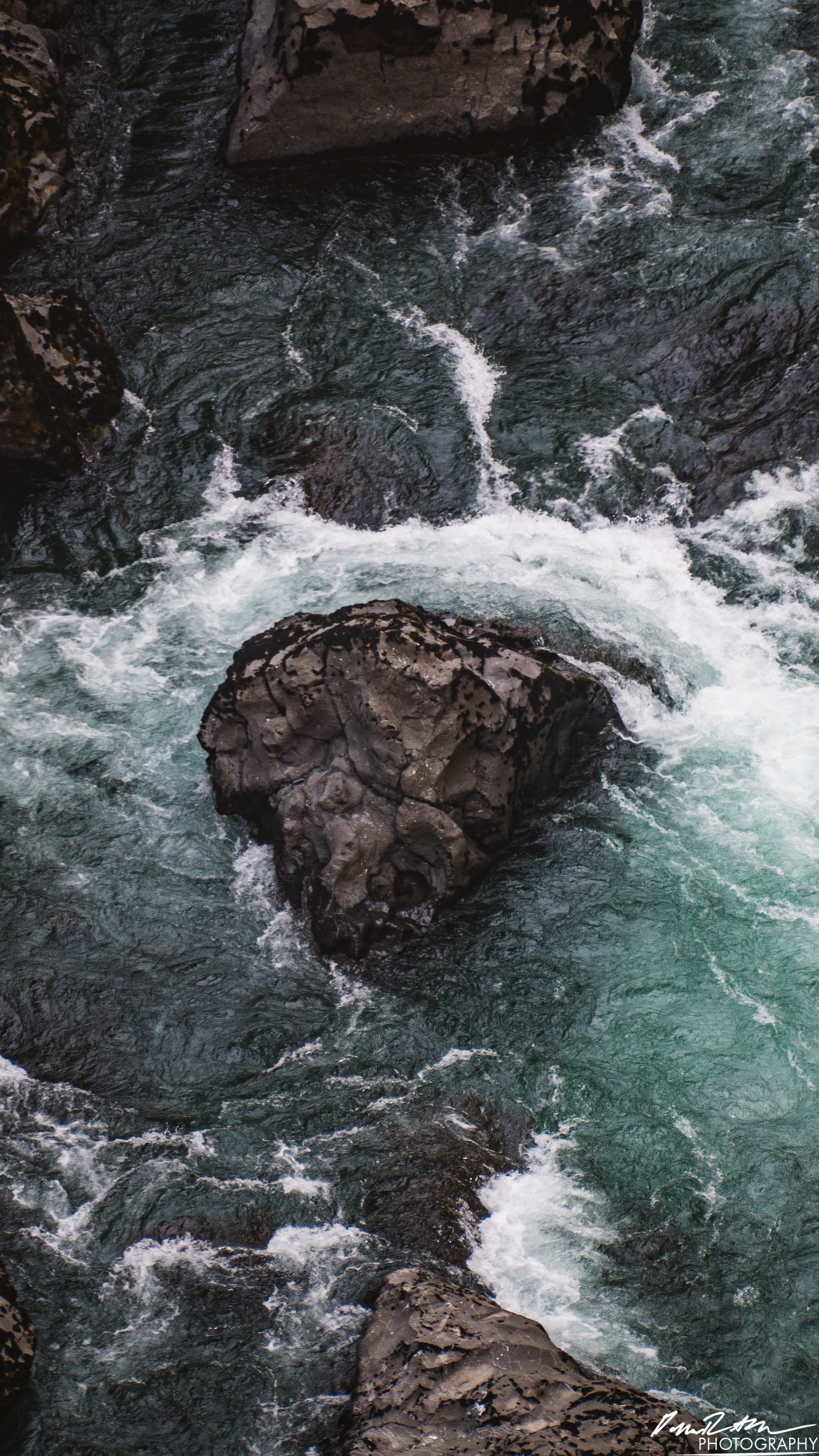CAUTION - Olympic National Forest