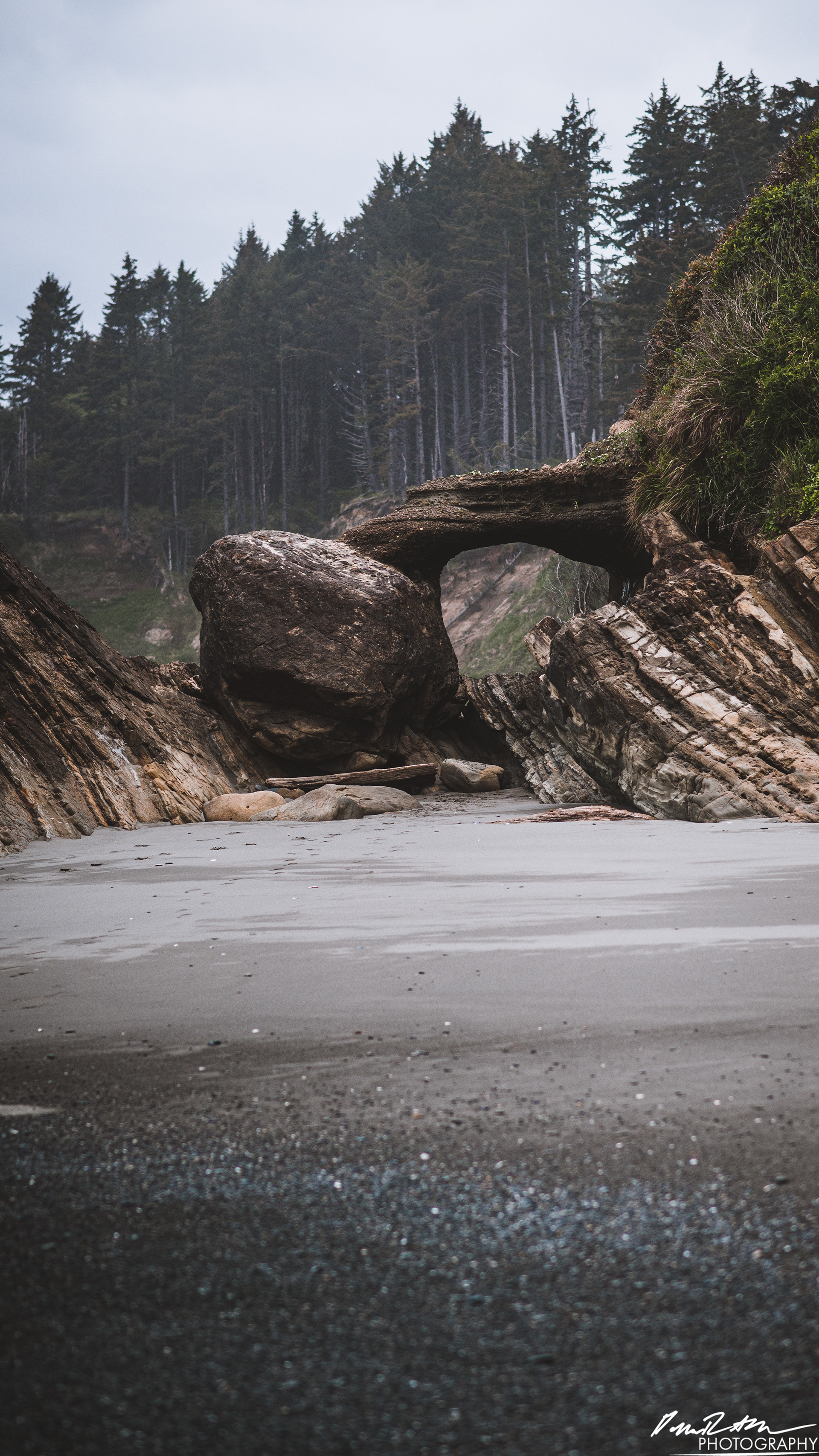 The Beach of Life - Kalaloch 