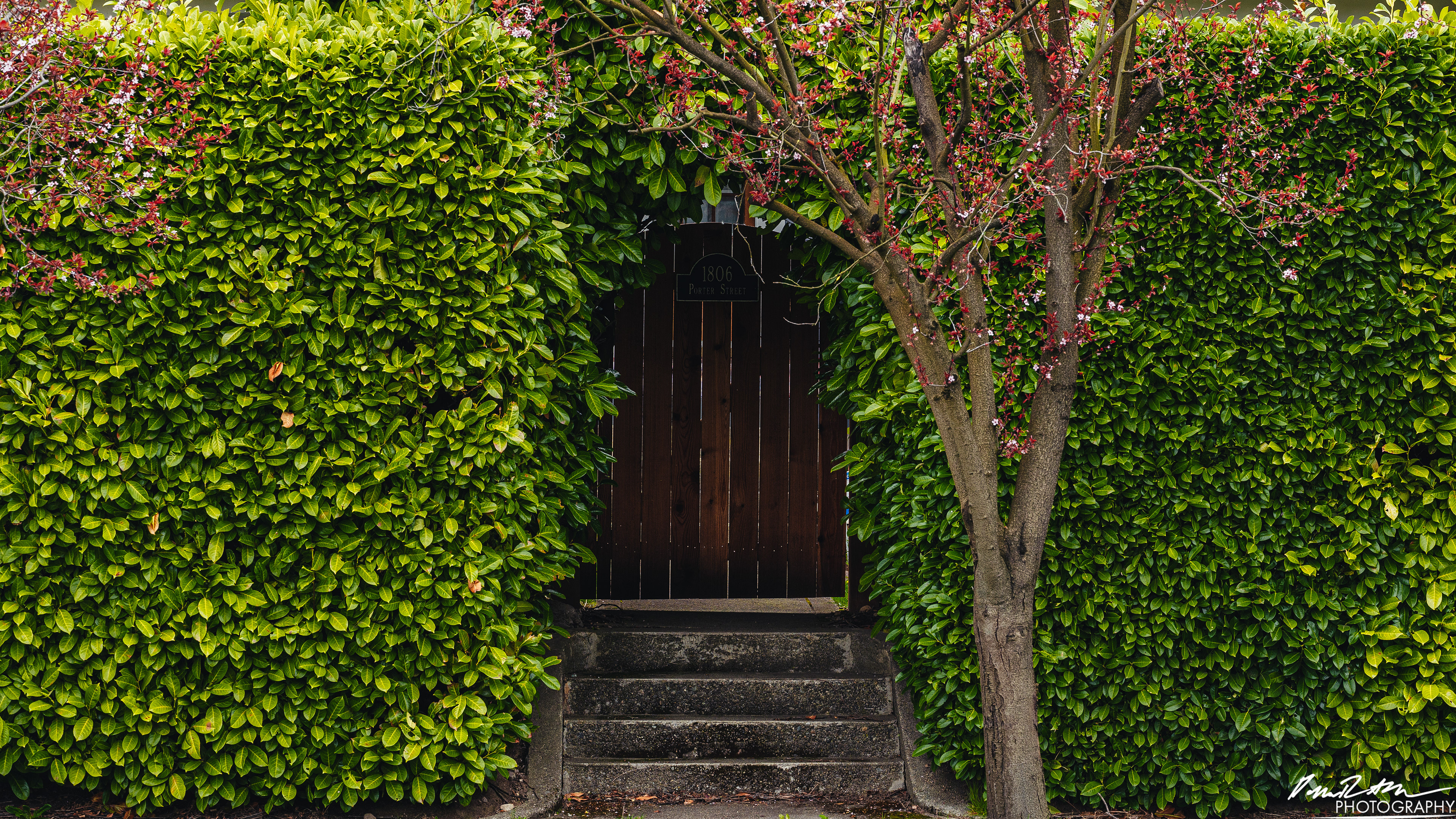 Up Close - Enumclaw WA