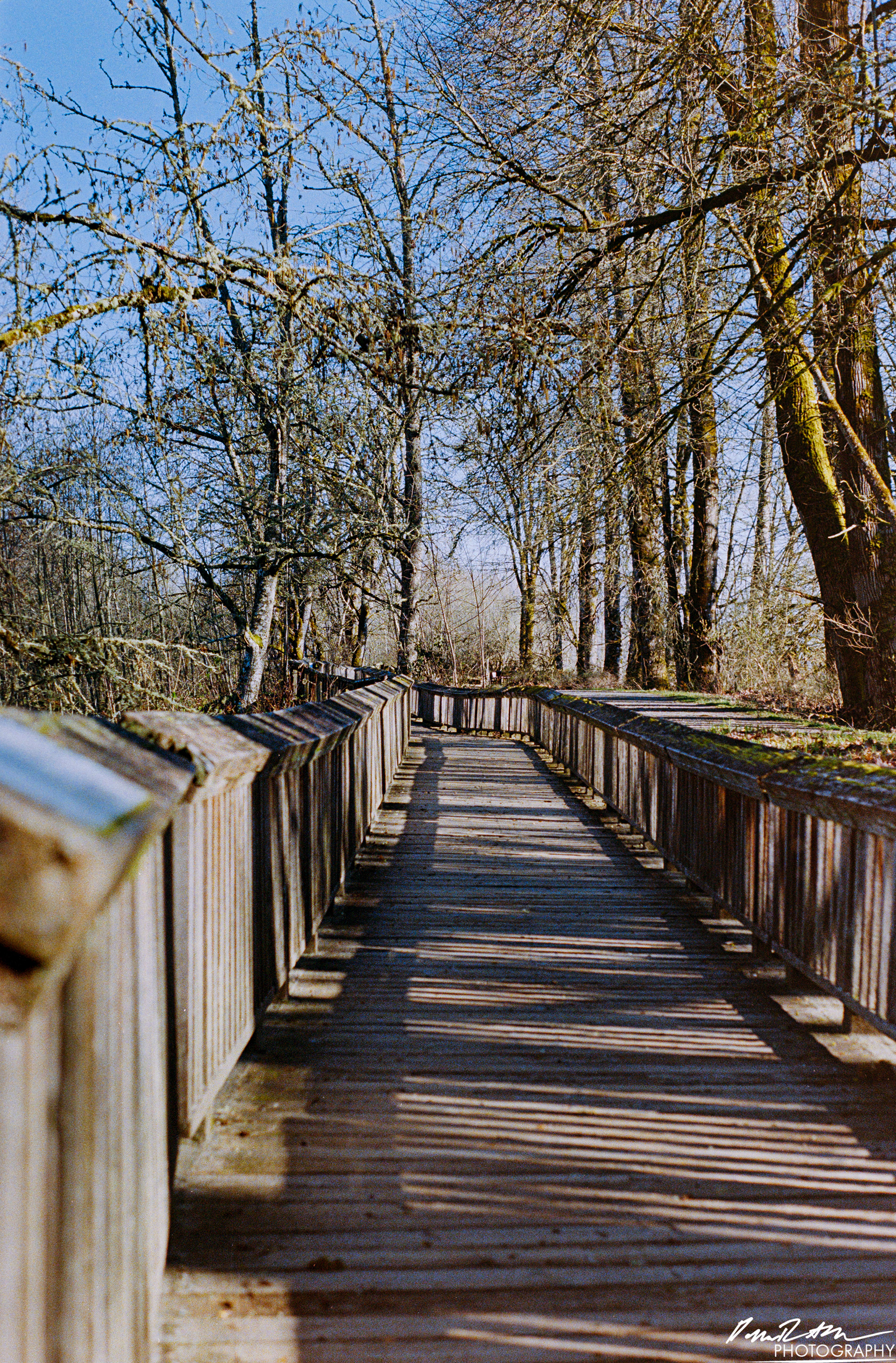 Fujifilm 400 - Nisqually Wildlife Preserve WA
