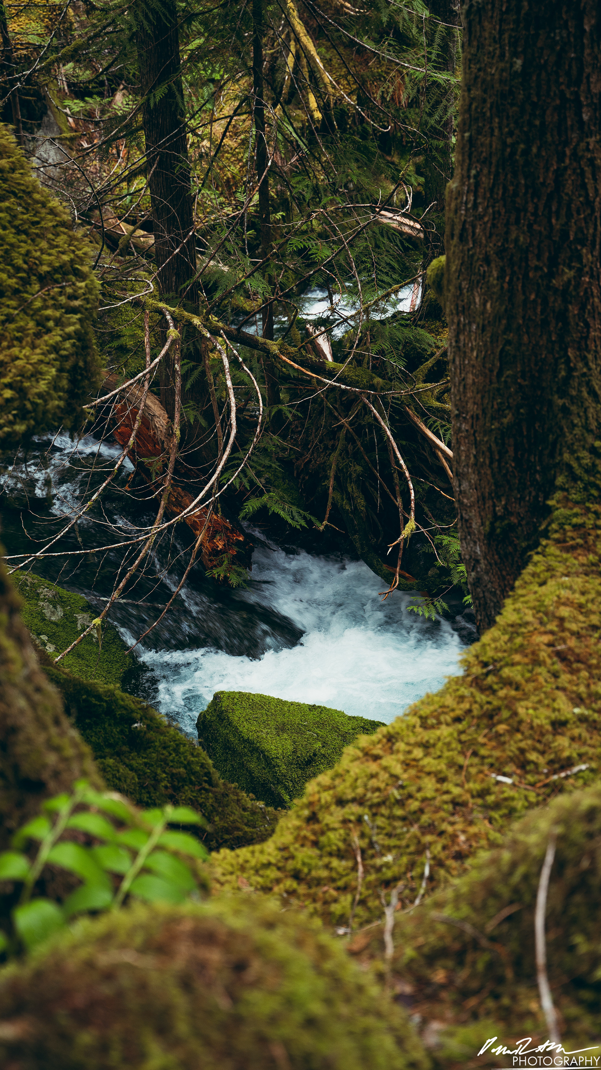 Snow Melt - Lena Lake