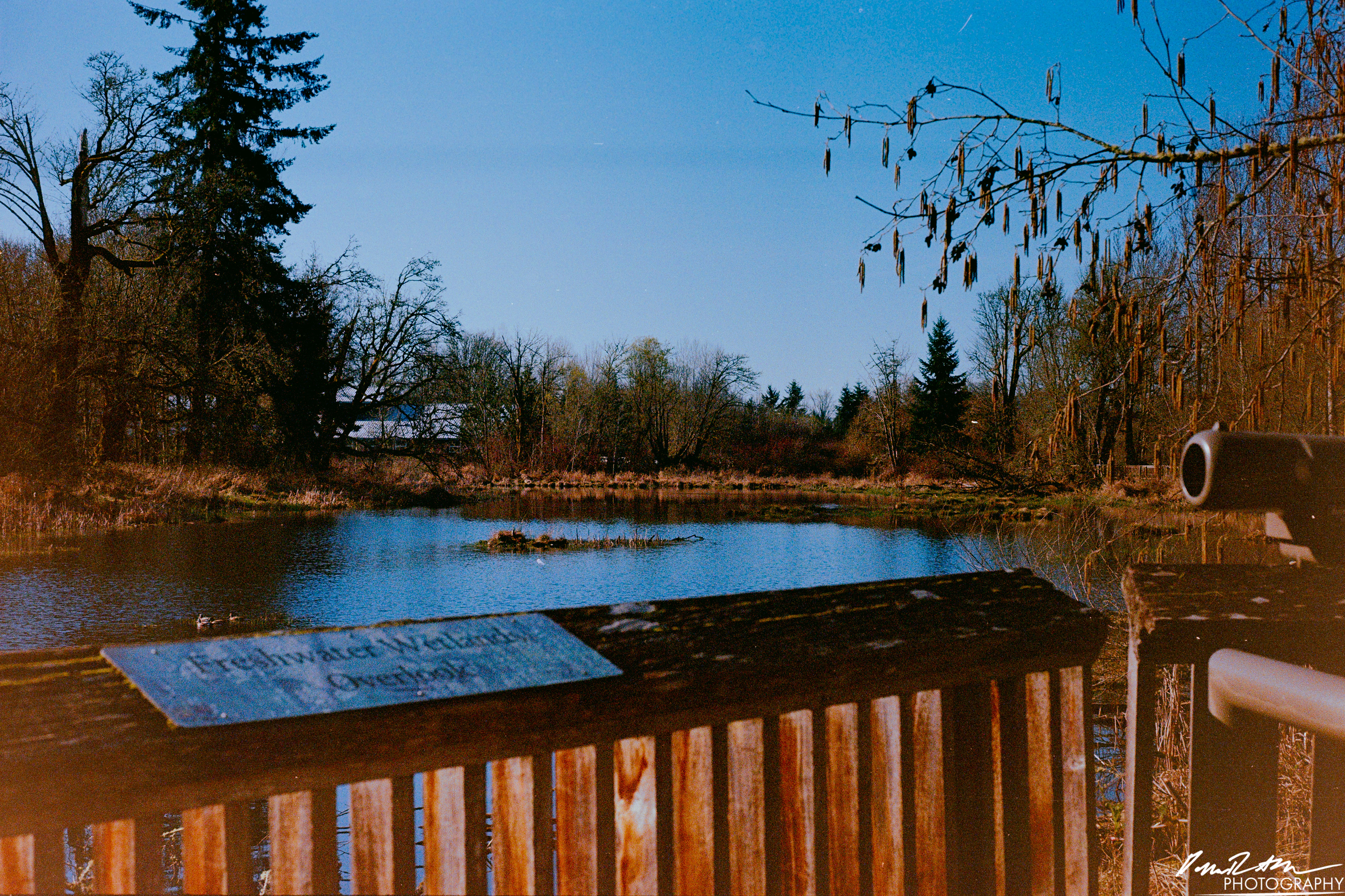 Fujifilm 400 - Nisqually Wildlife Preserve WA