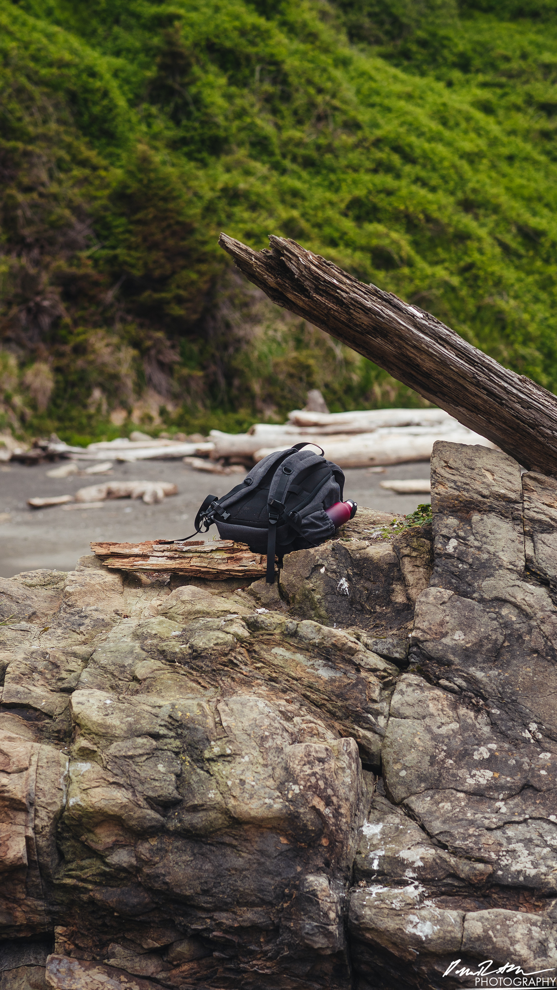 The Beach of Life - Kalaloch 