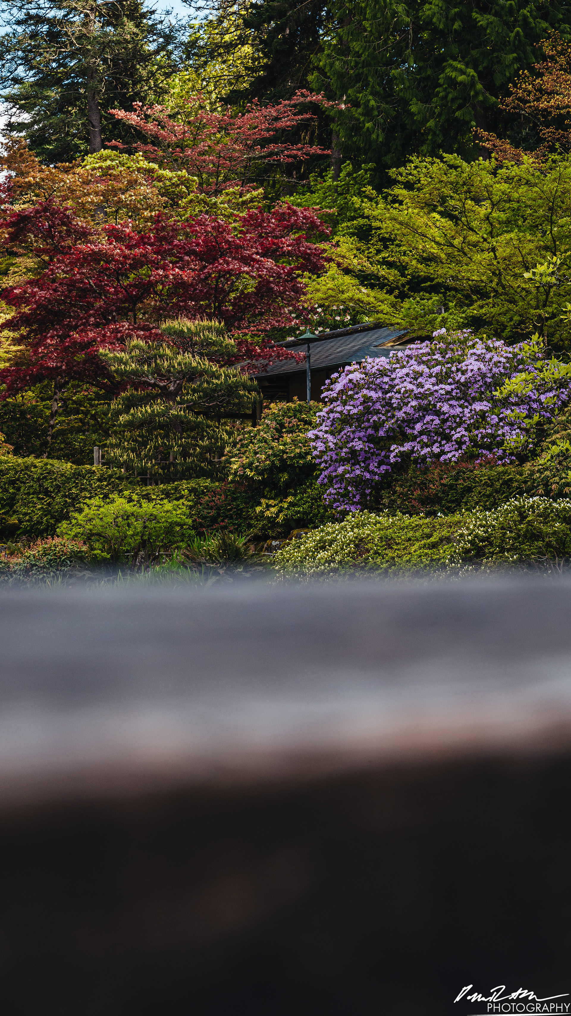 日本庭園-ワシントン州シアトル