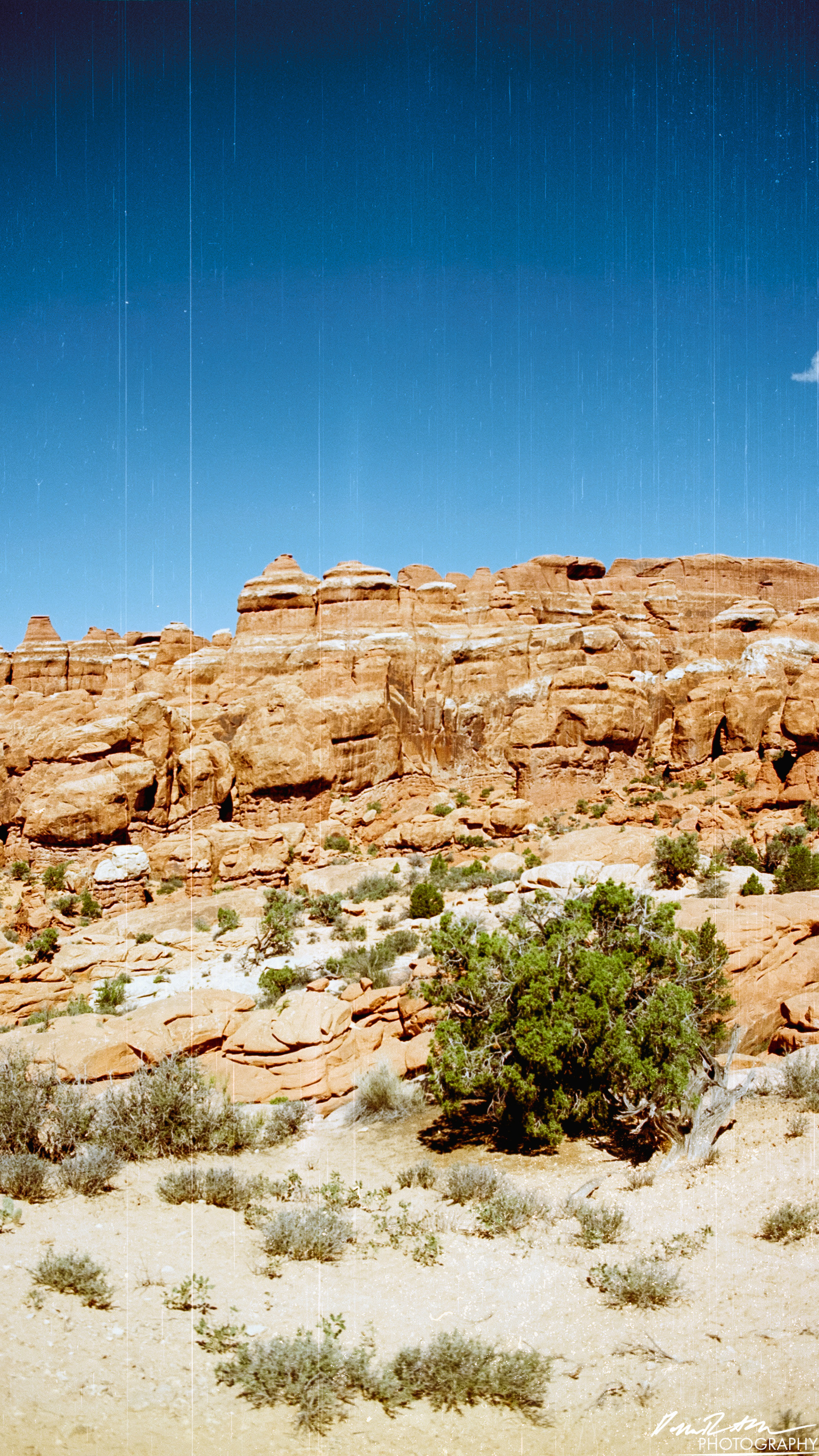 Arches on 35mm - Arches National Park