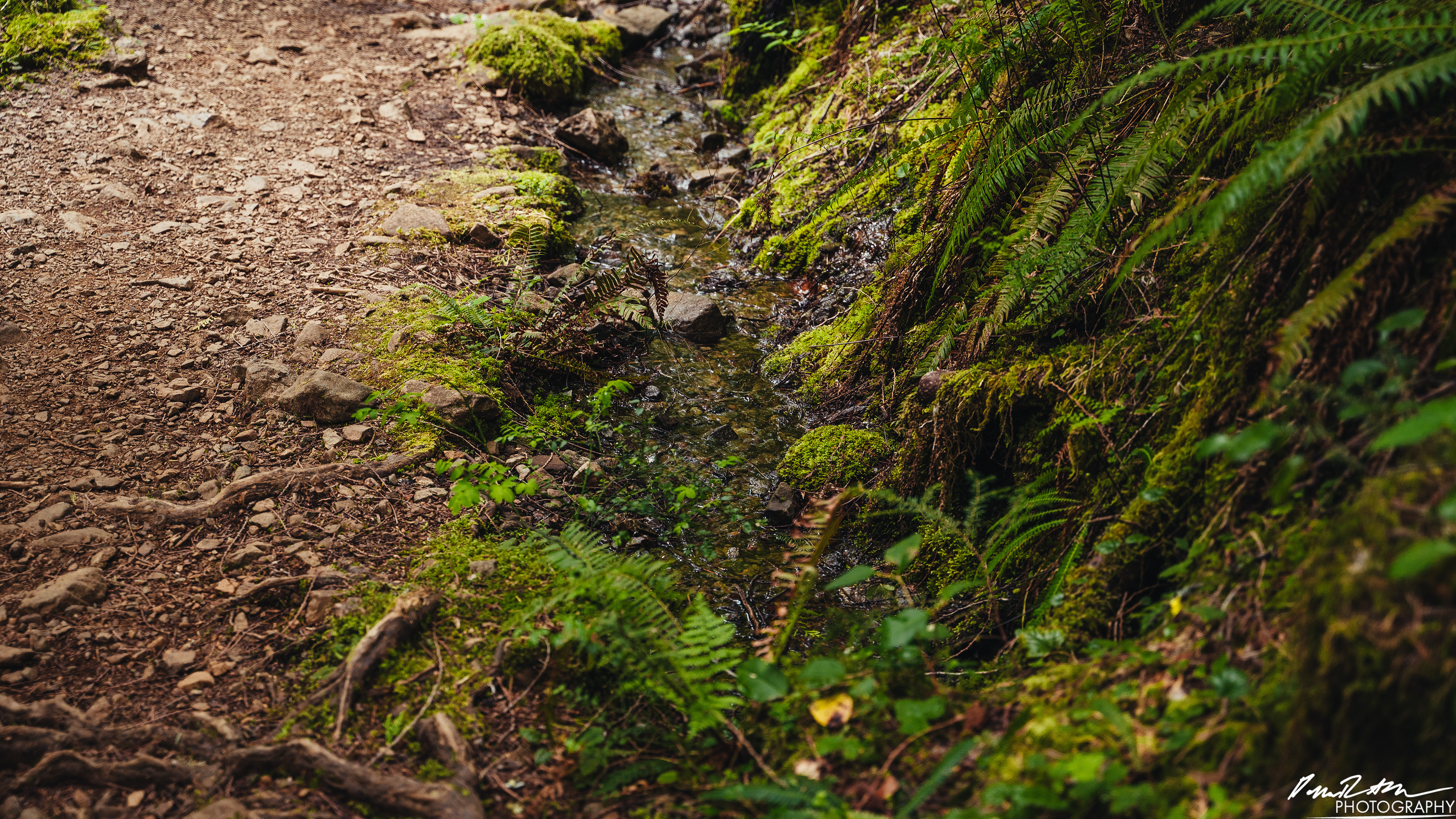 Snow Melt - Lena Lake