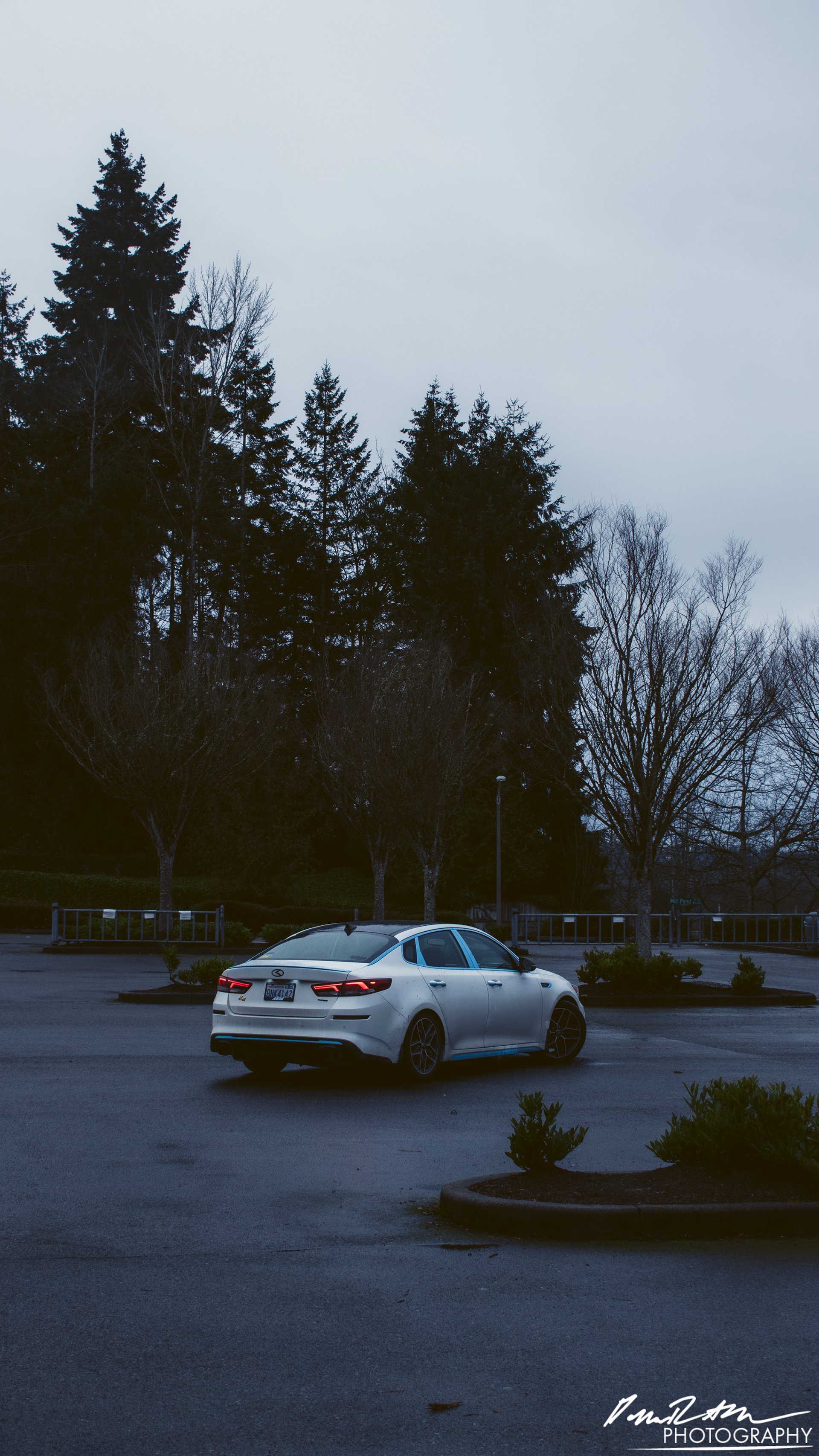 Lone Star, Auburn WA