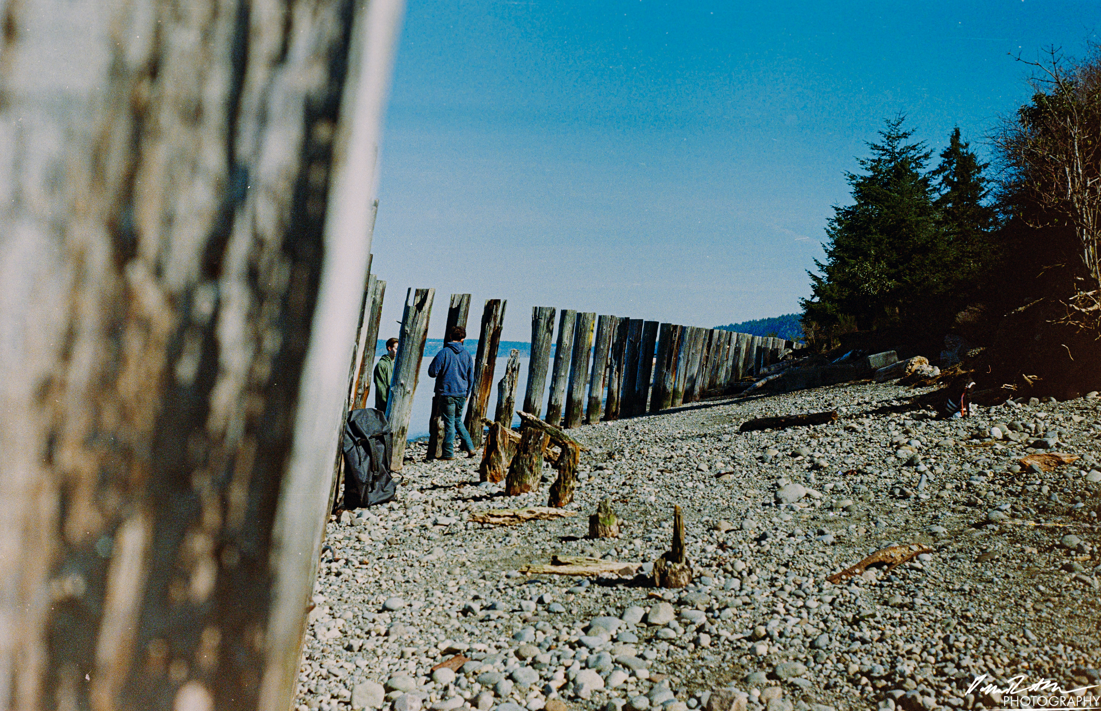 Fujifilm 400 - Dupont WA