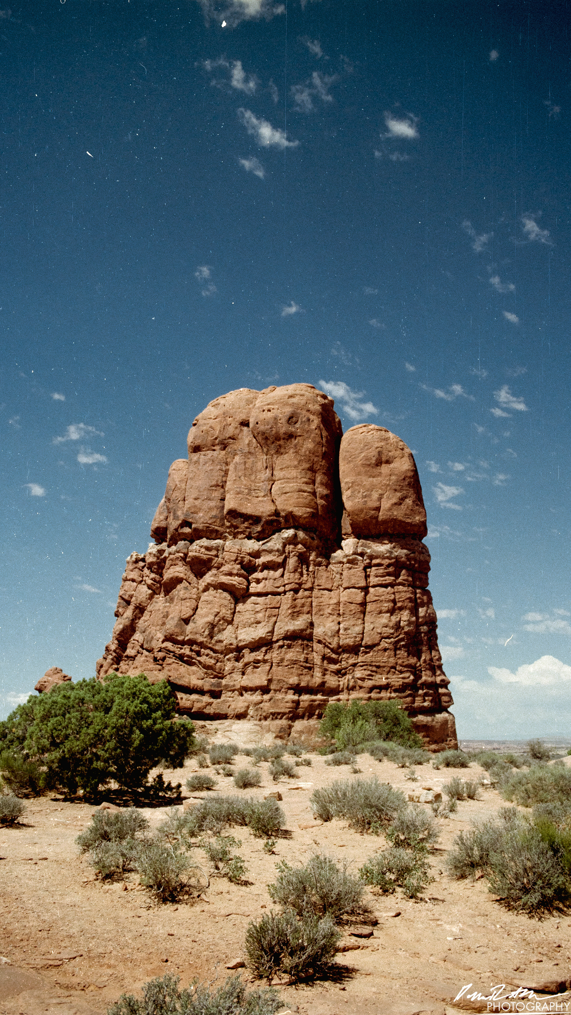 Arches on 35mm - Arches National Park