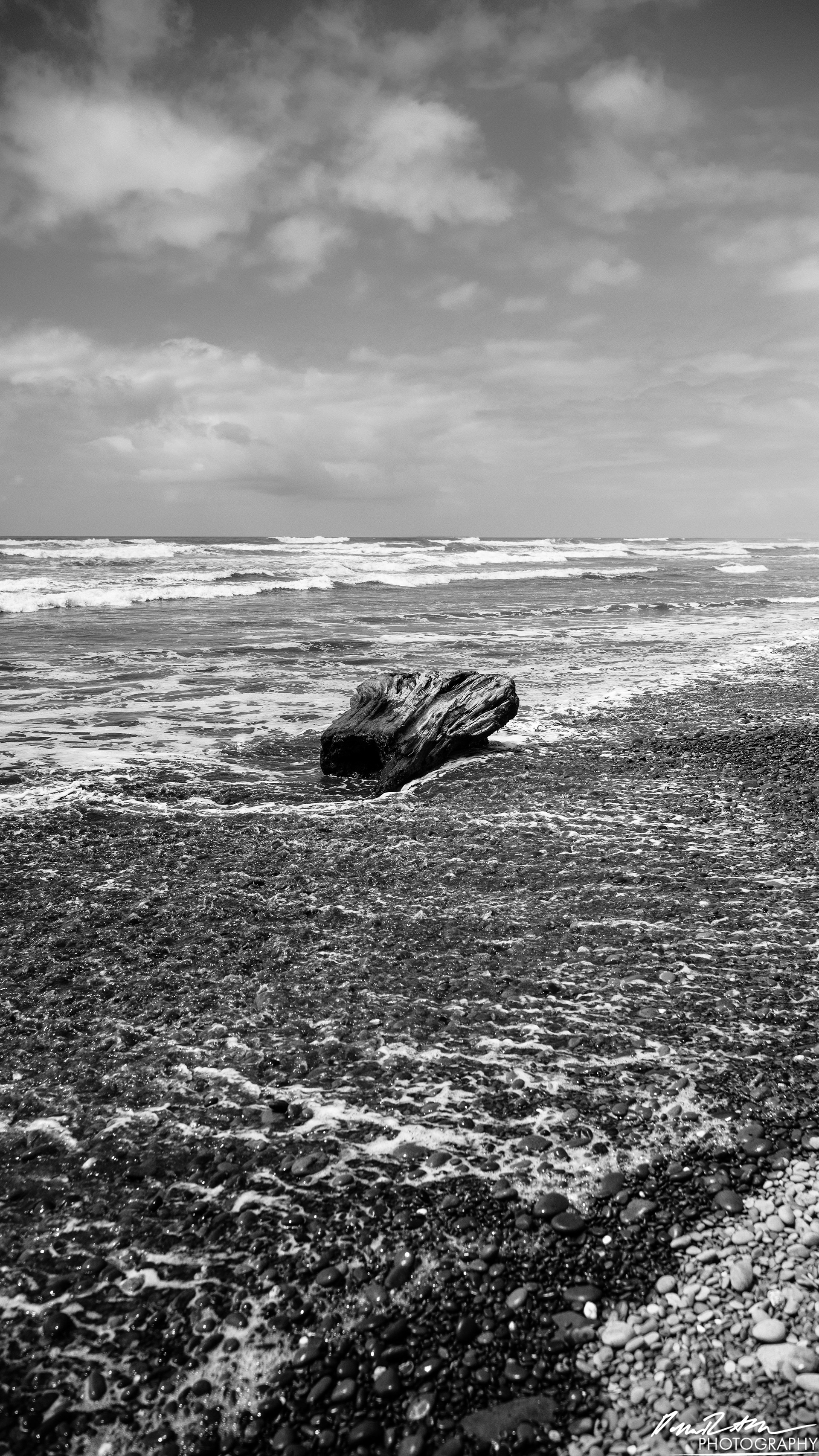 The Beach of Life - Kalaloch 