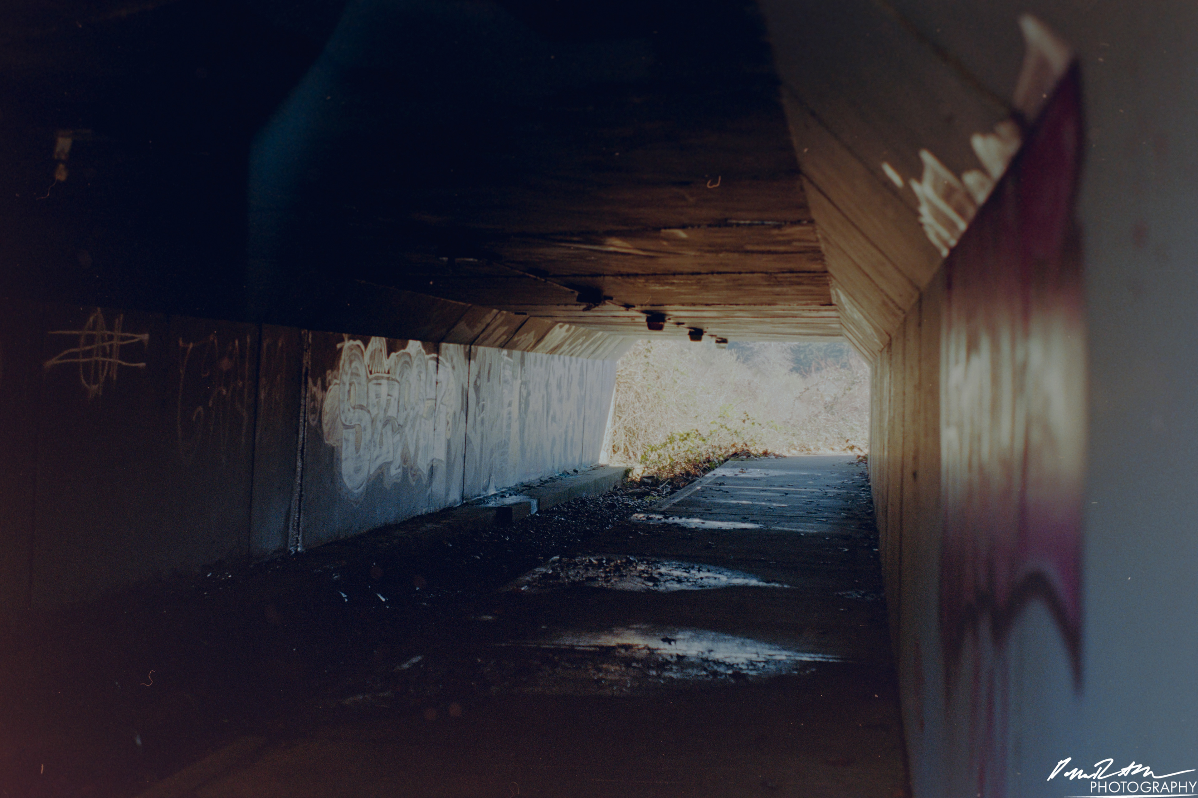 Fujifilm 400 - Dupont WA