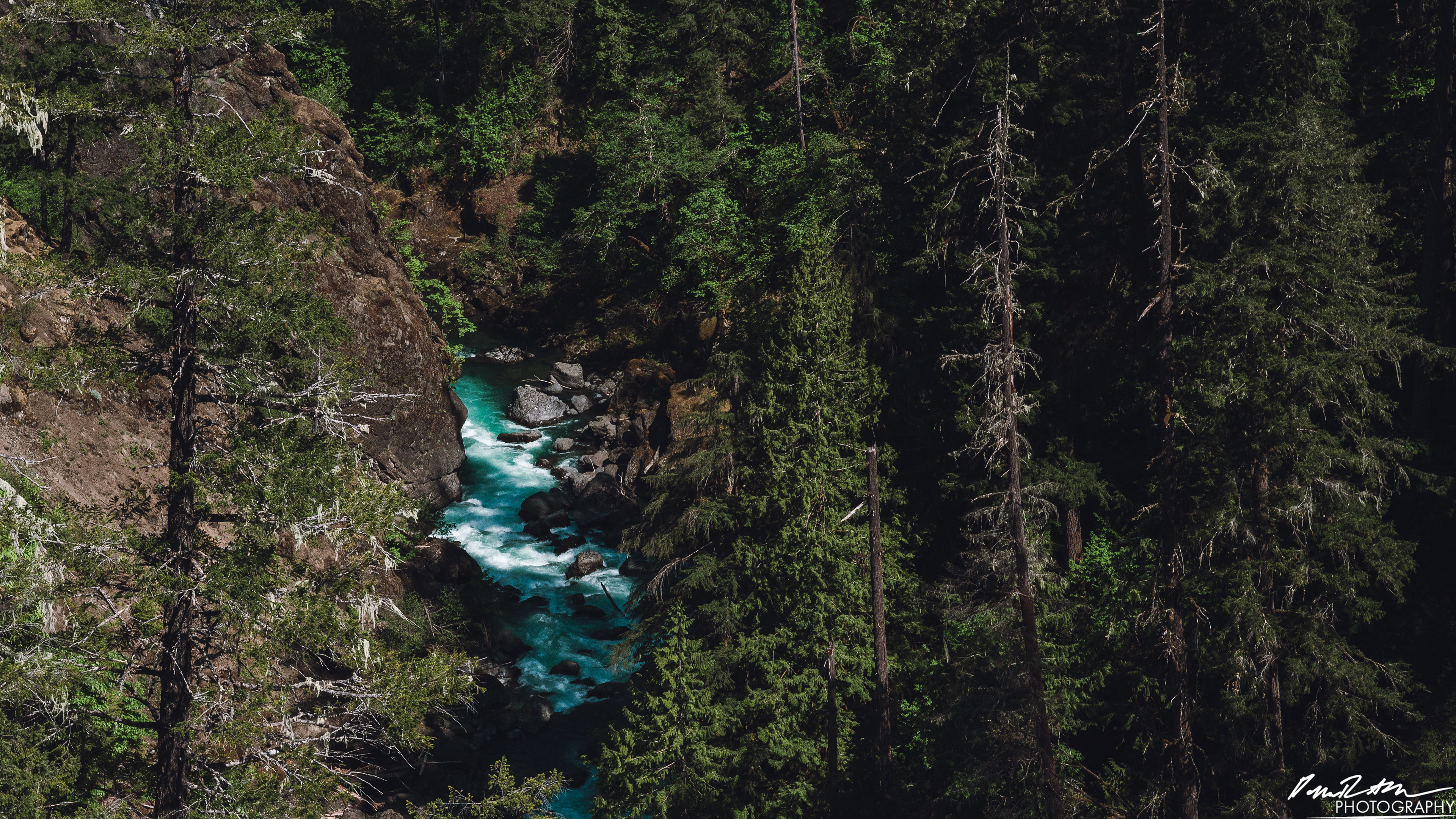 CAUTION - Olympic National Forest
