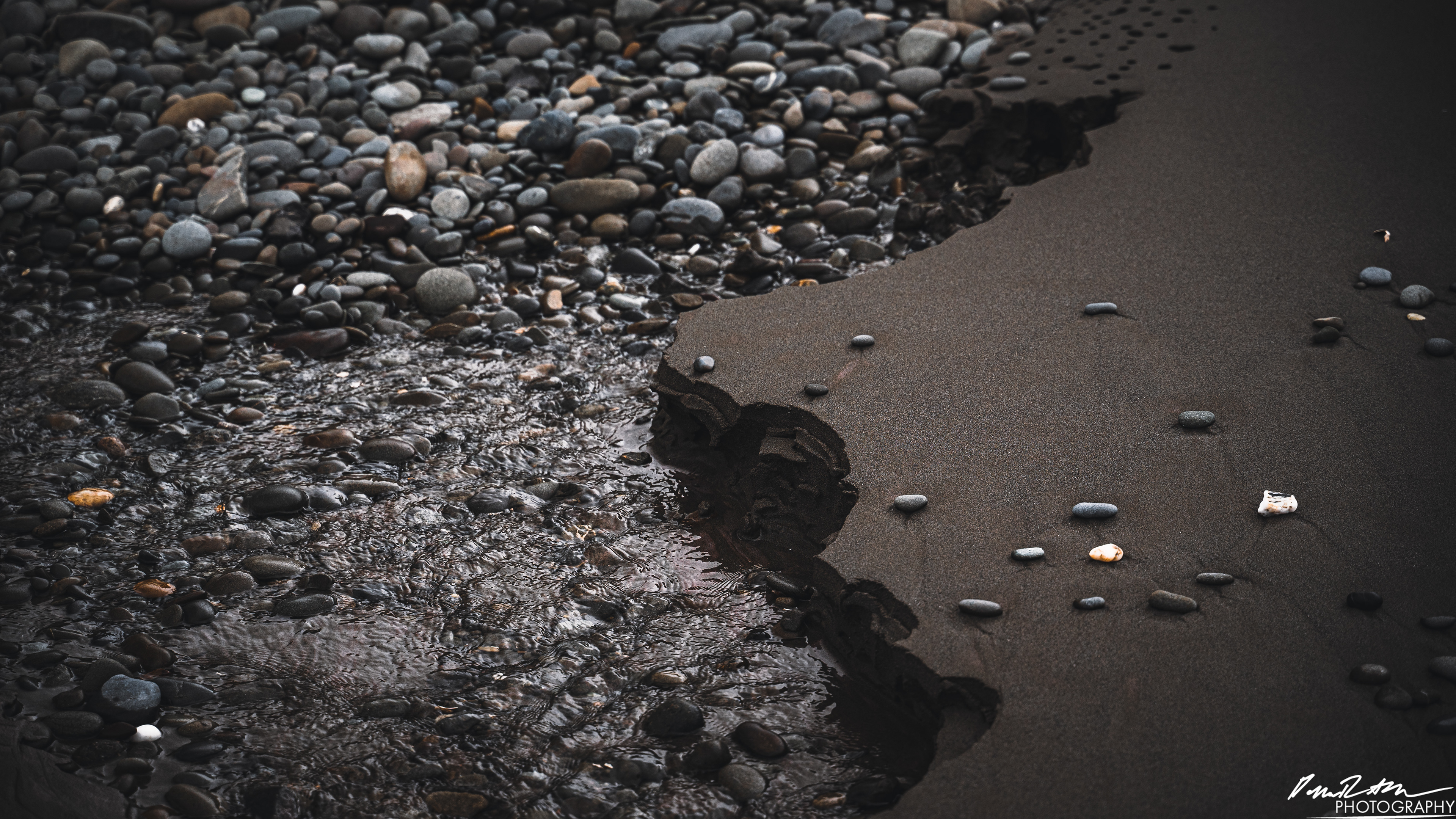 The Beach of Life - Kalaloch 