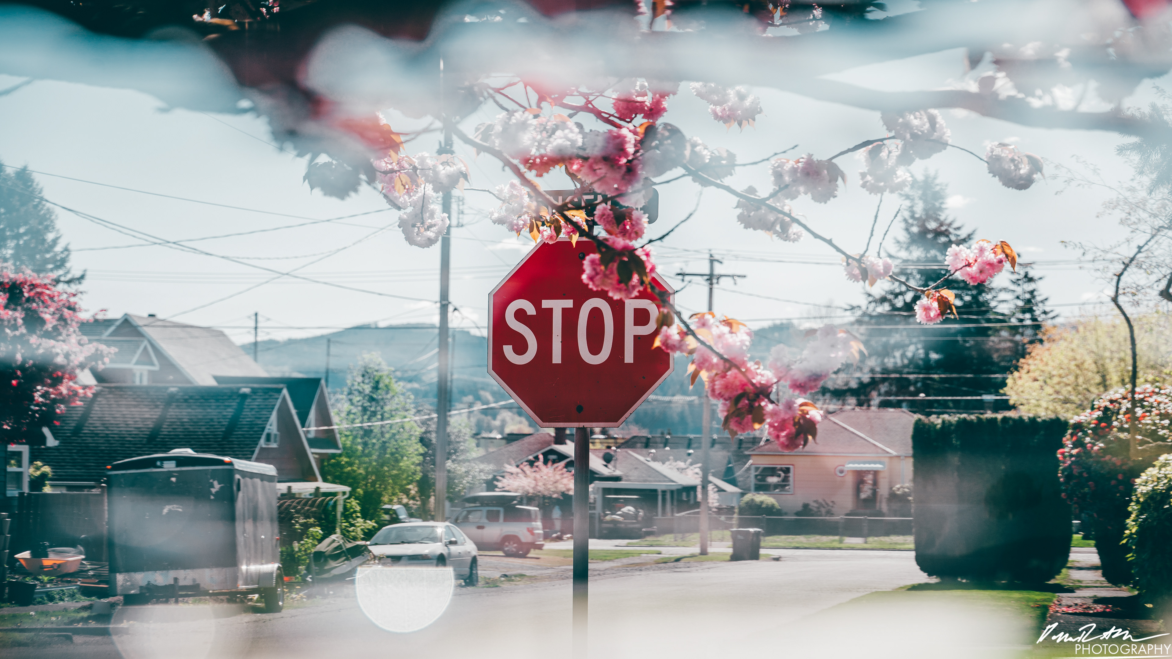 Out of Focus - Enumclaw WA