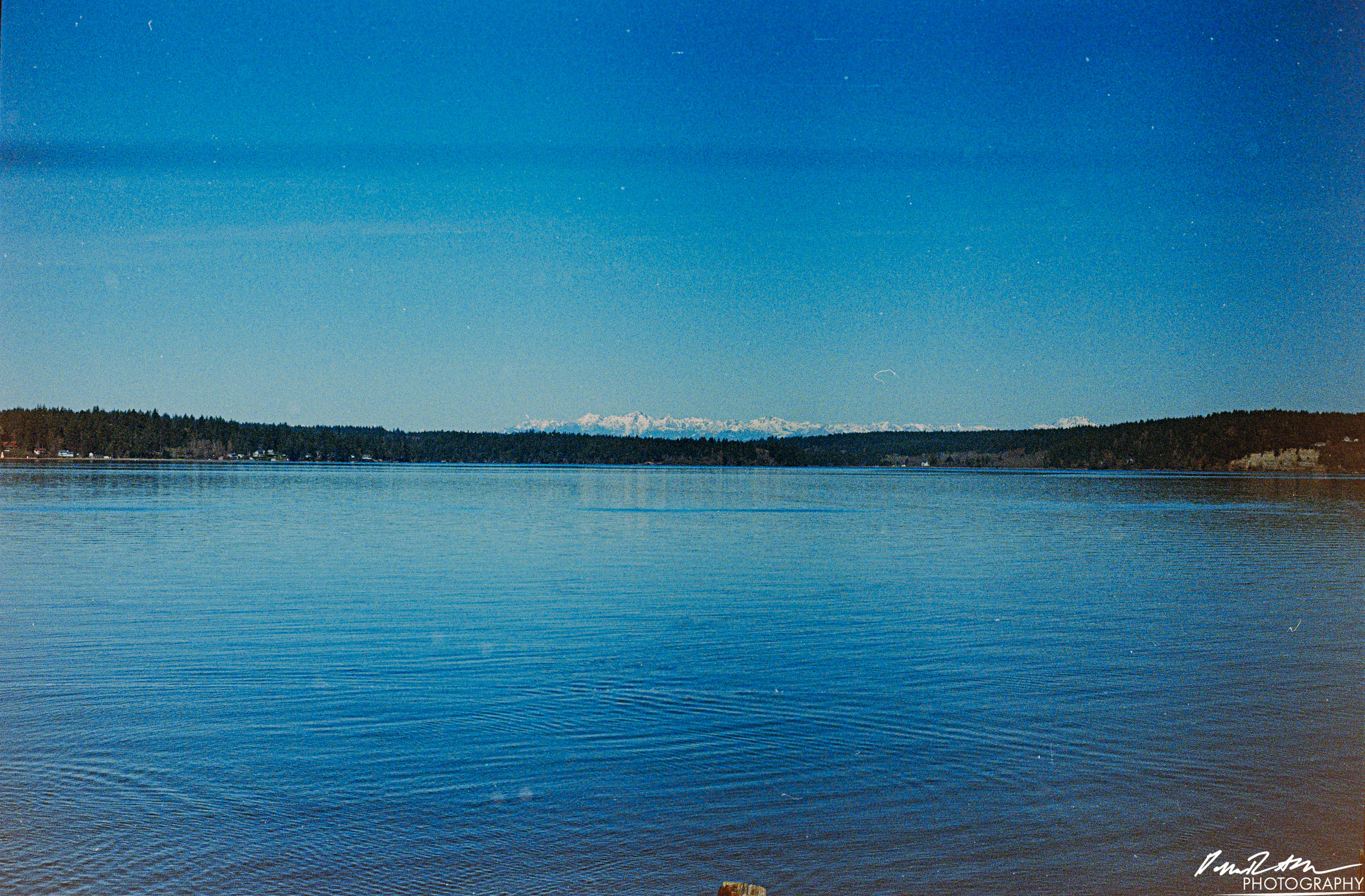 Fujifilm 400 - Dupont WA