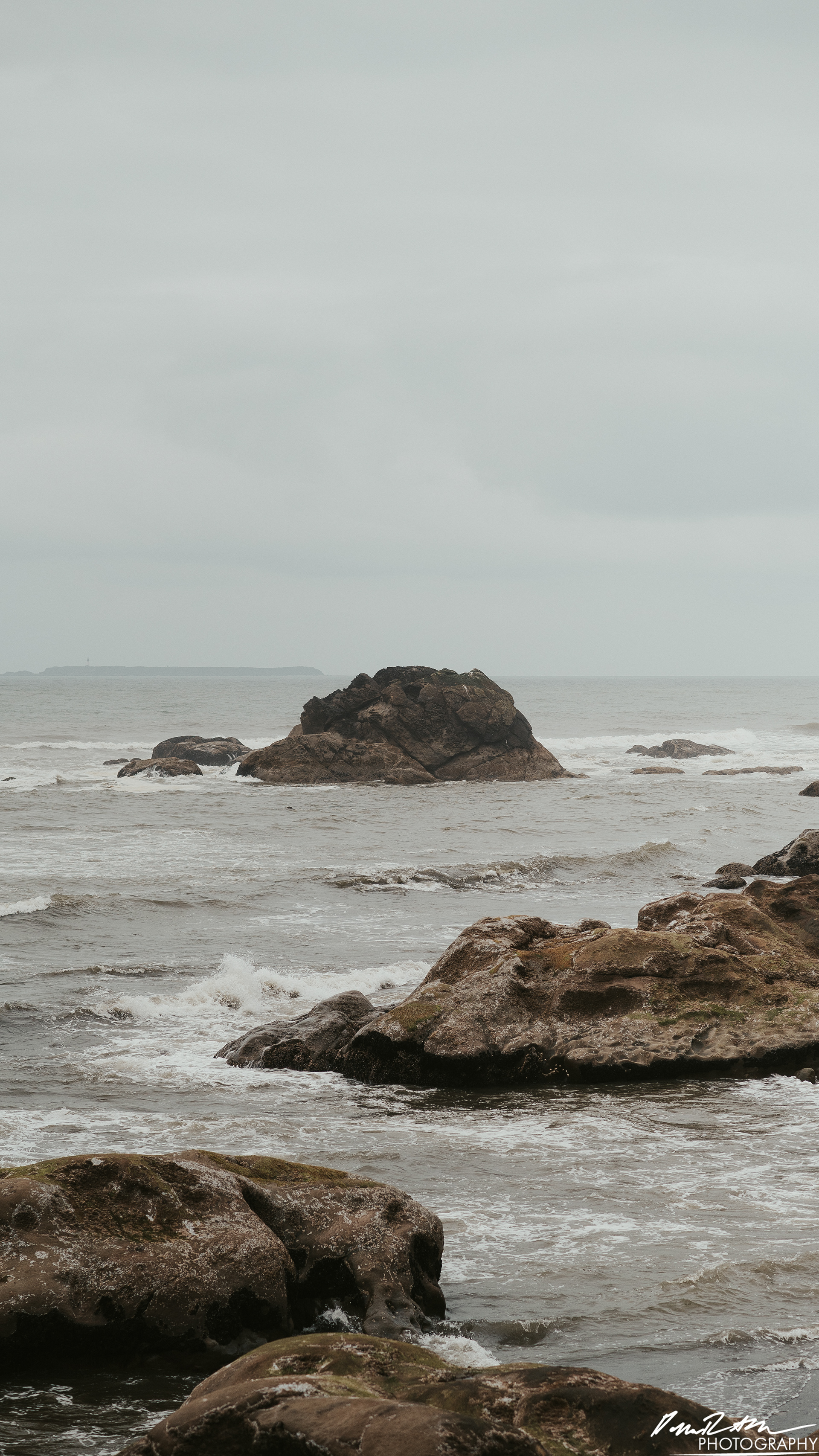 The Beach of Life - Kalaloch 