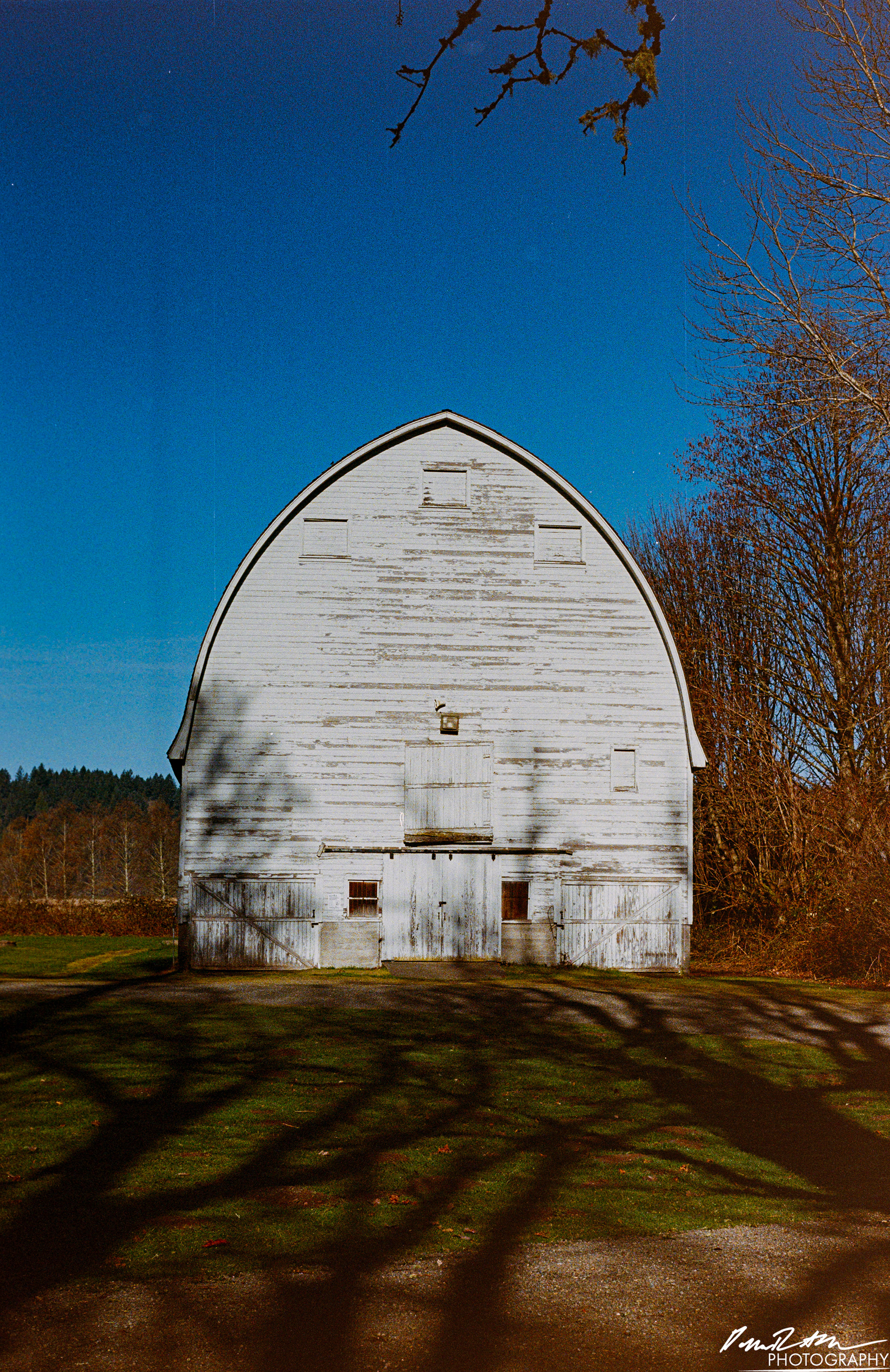 Fujifilm 400 - Nisqually Wildlife Preserve WA
