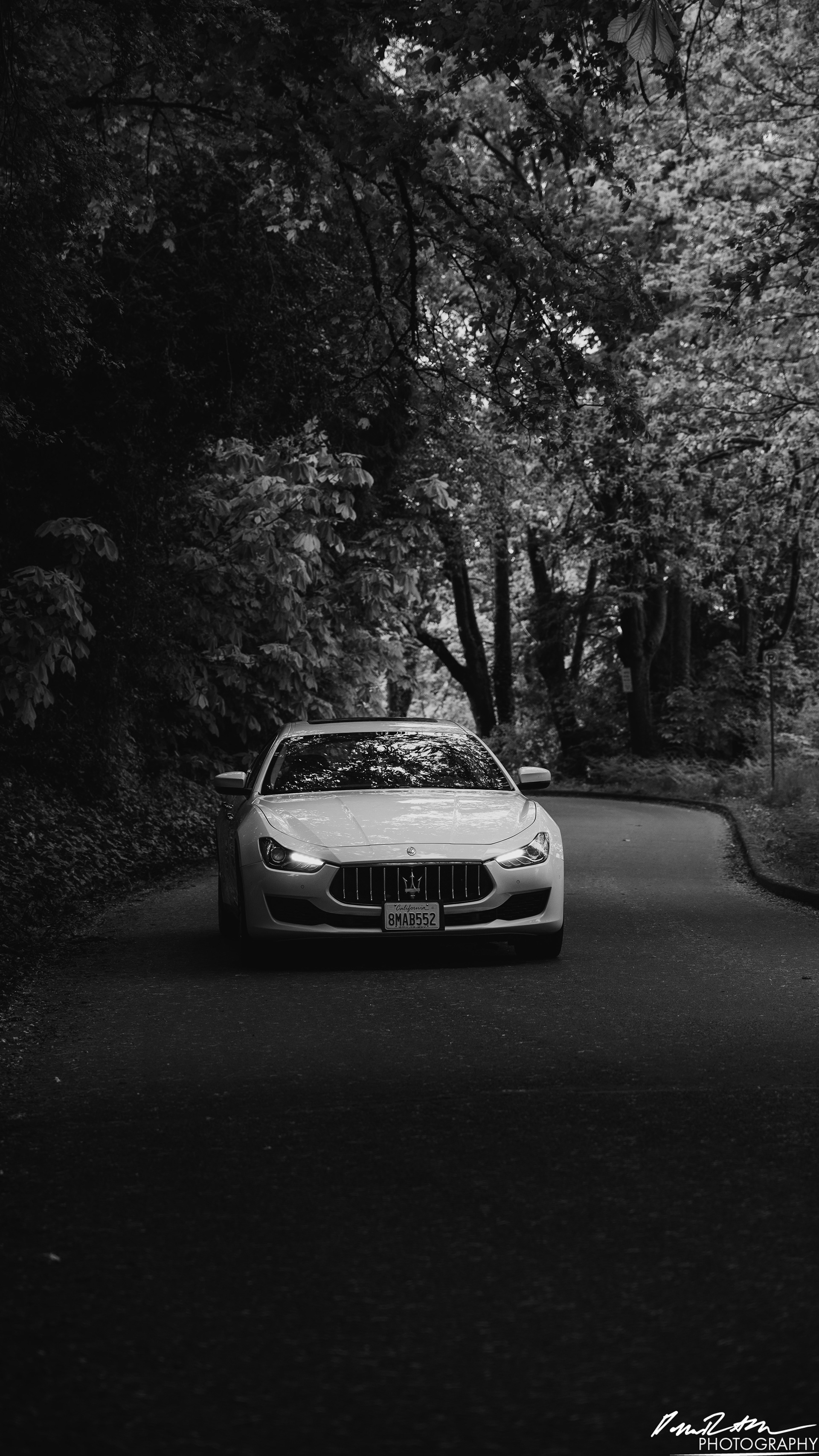 Stand Off - Seattle WA