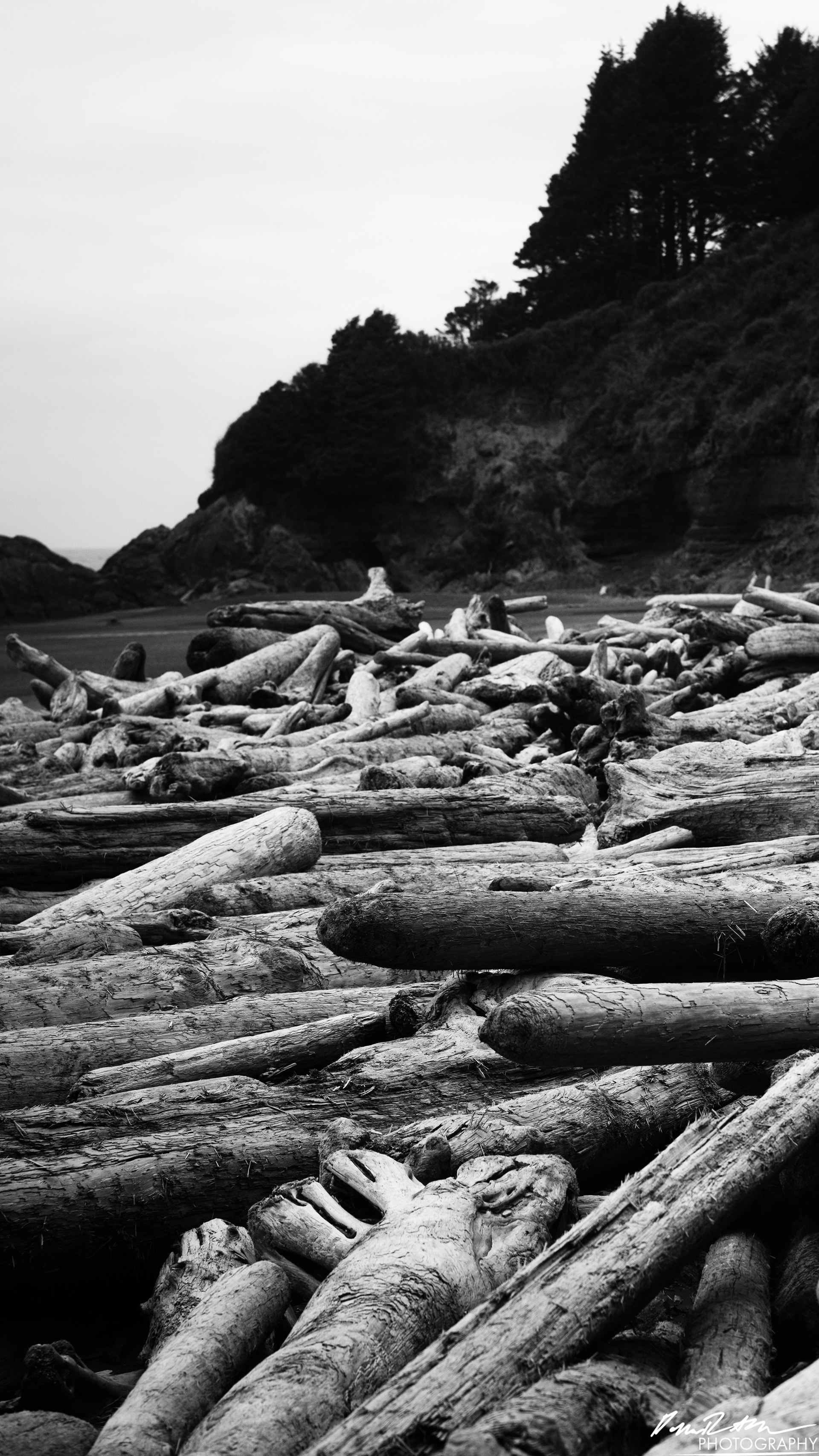 The Beach of Life - Kalaloch 