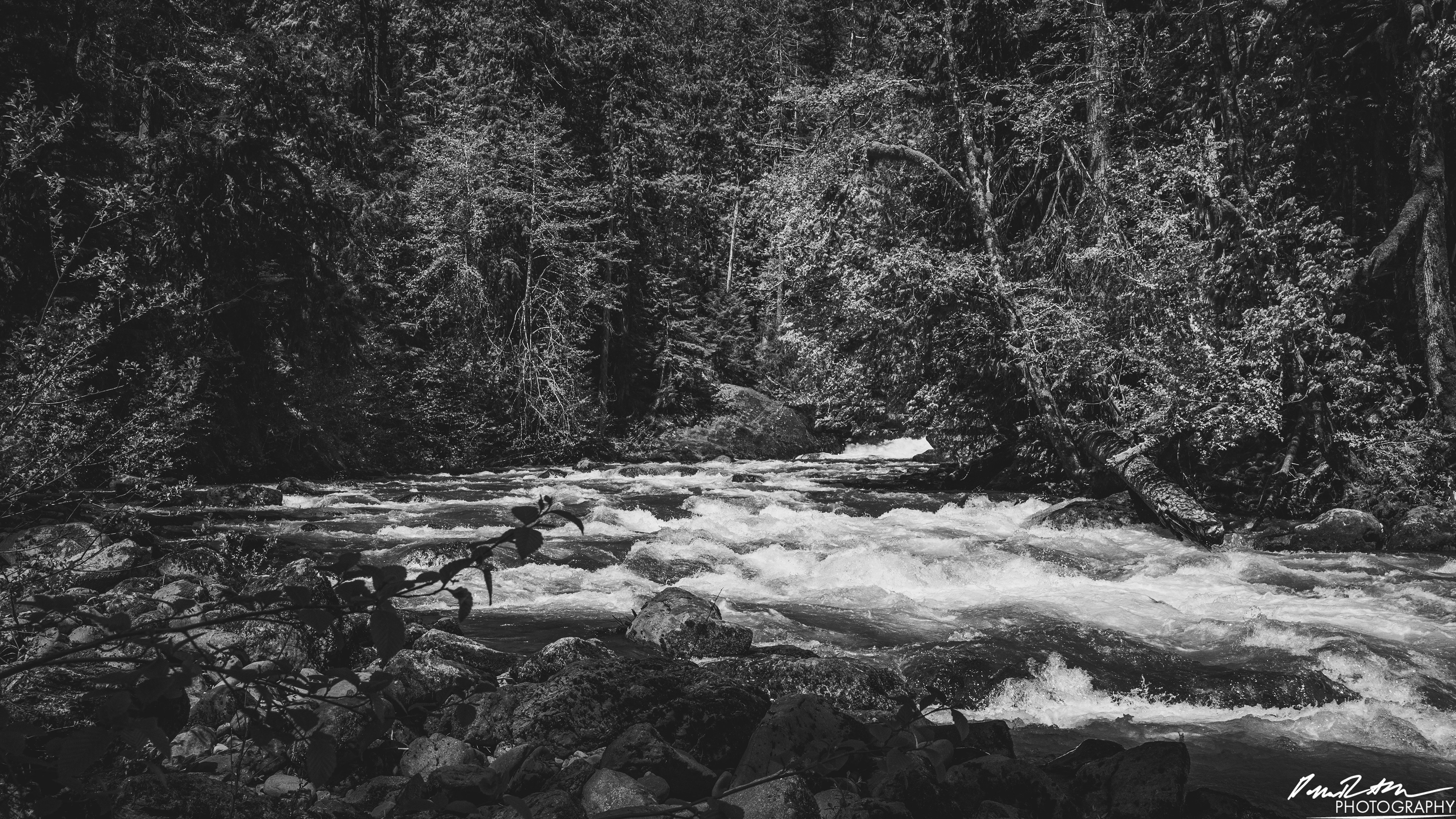Rapids - Lake Cushman