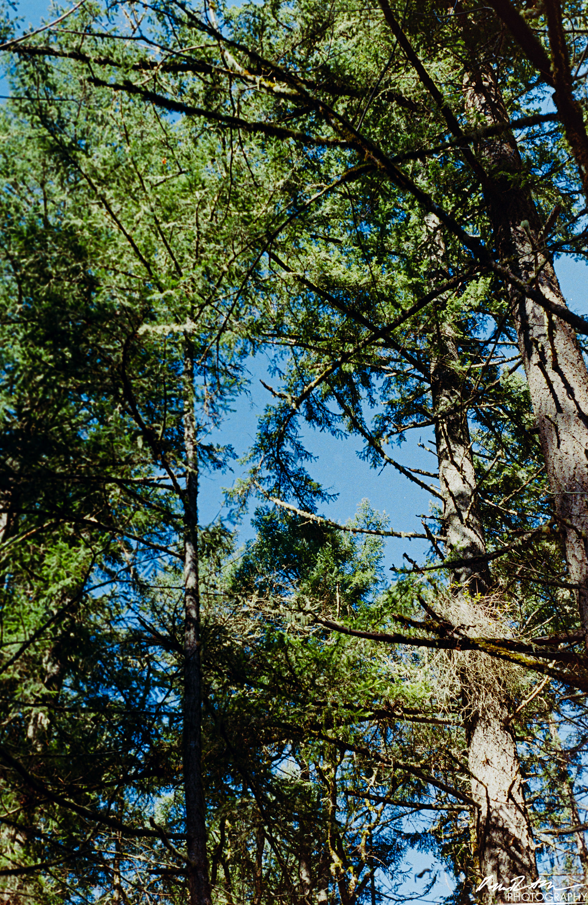 Fujifilm 400 - Dupont WA