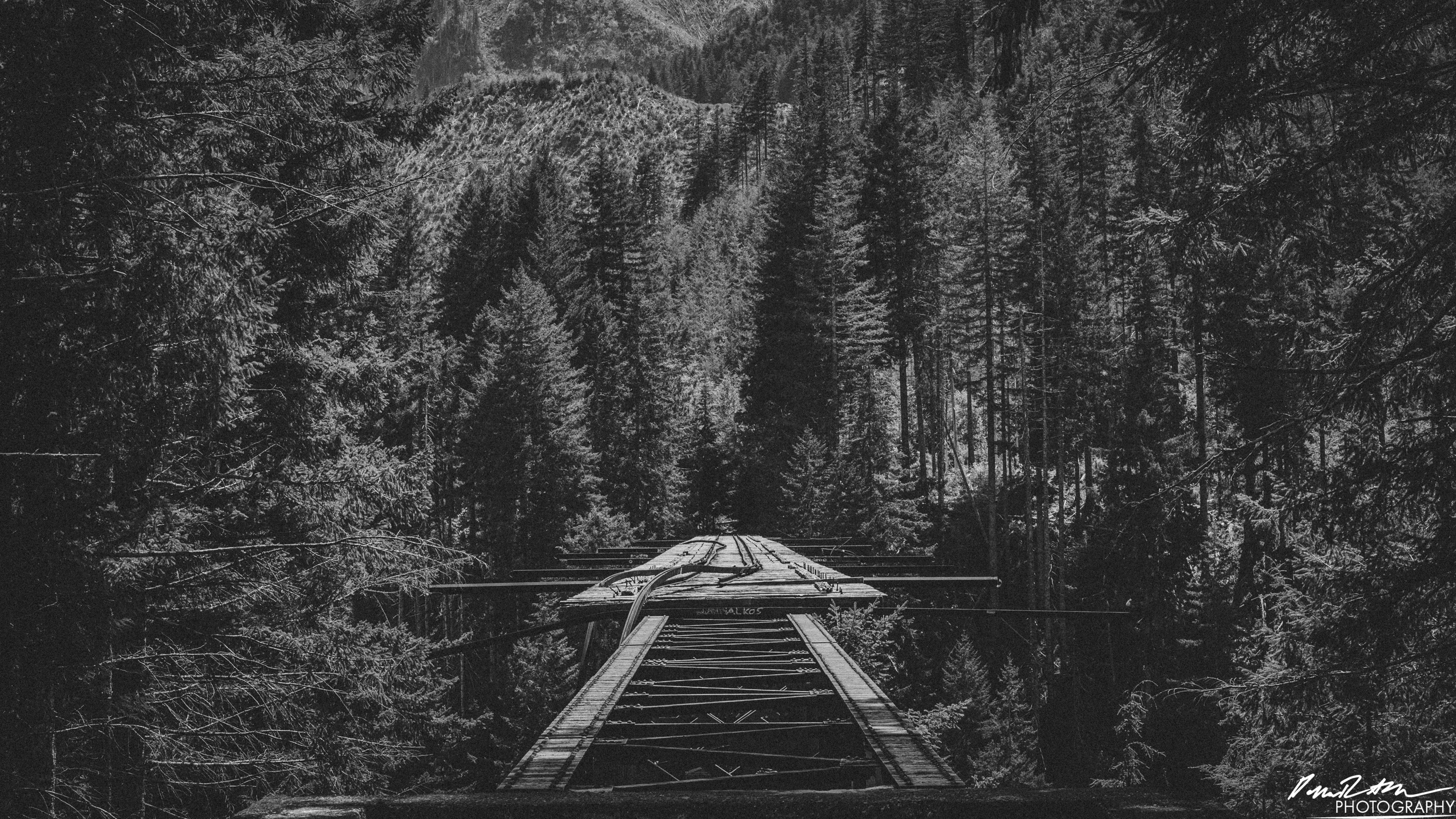 CAUTION - Olympic National Forest