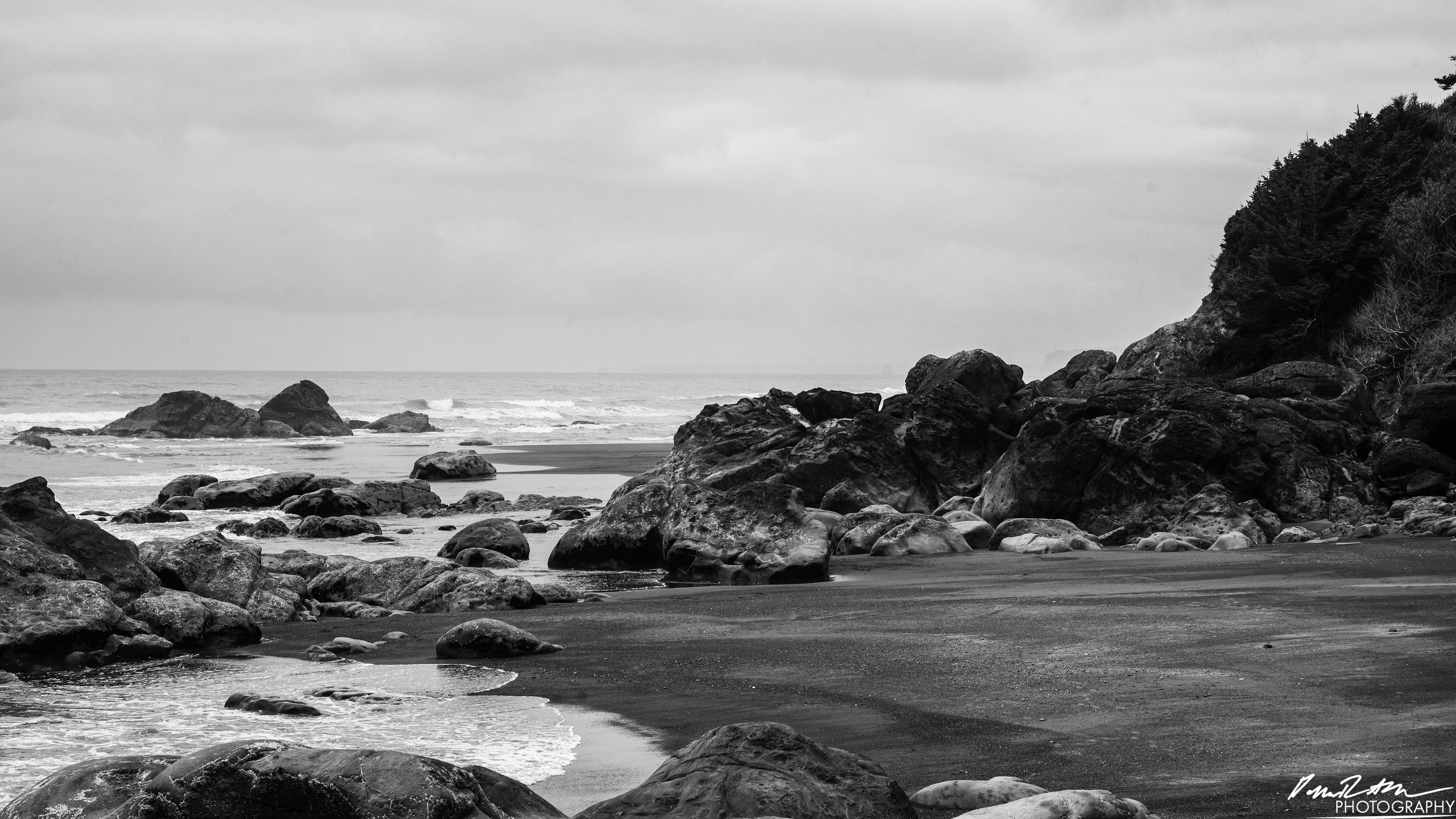 The Beach of Life - Kalaloch 