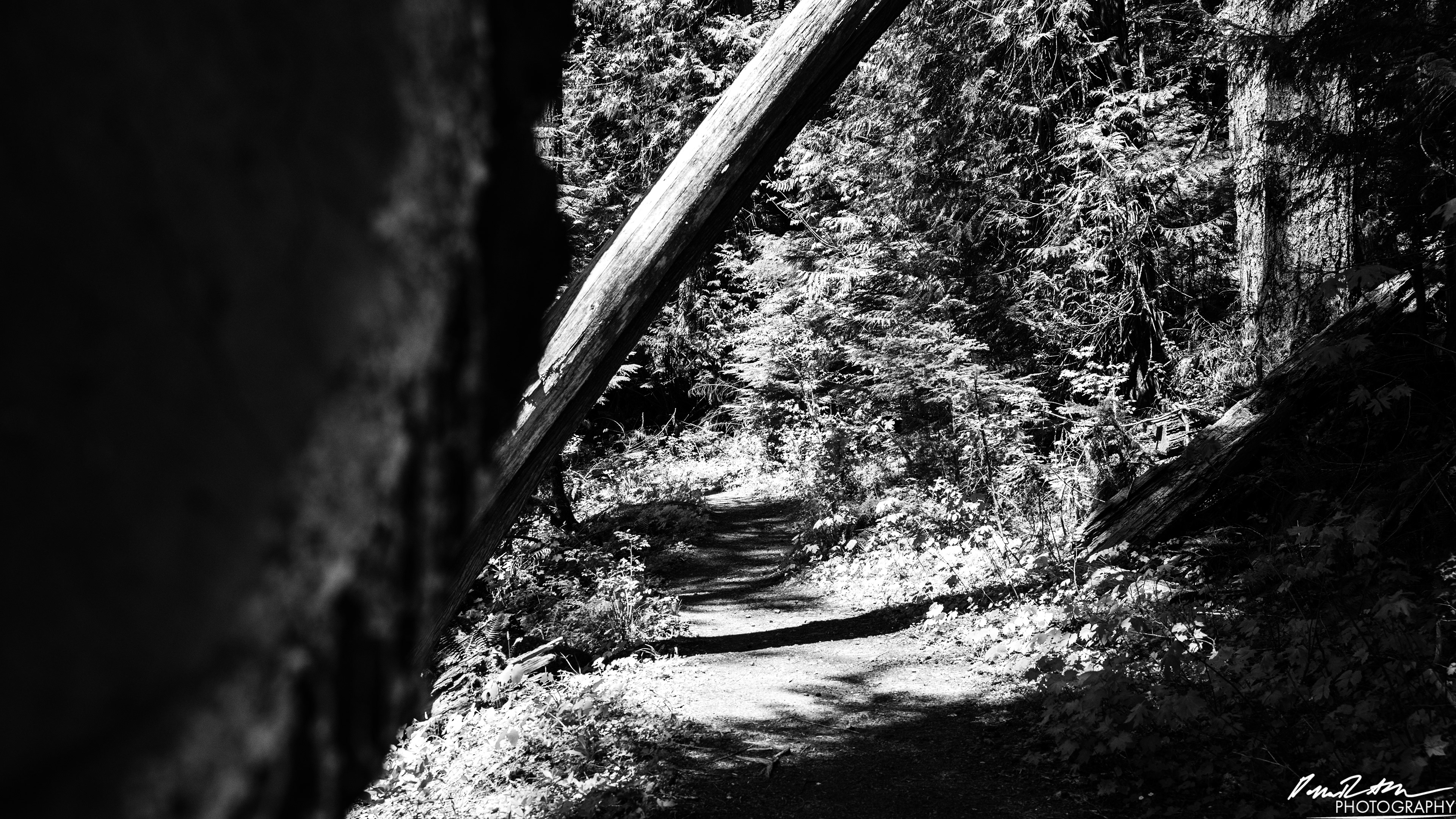 Rapids - Lake Cushman