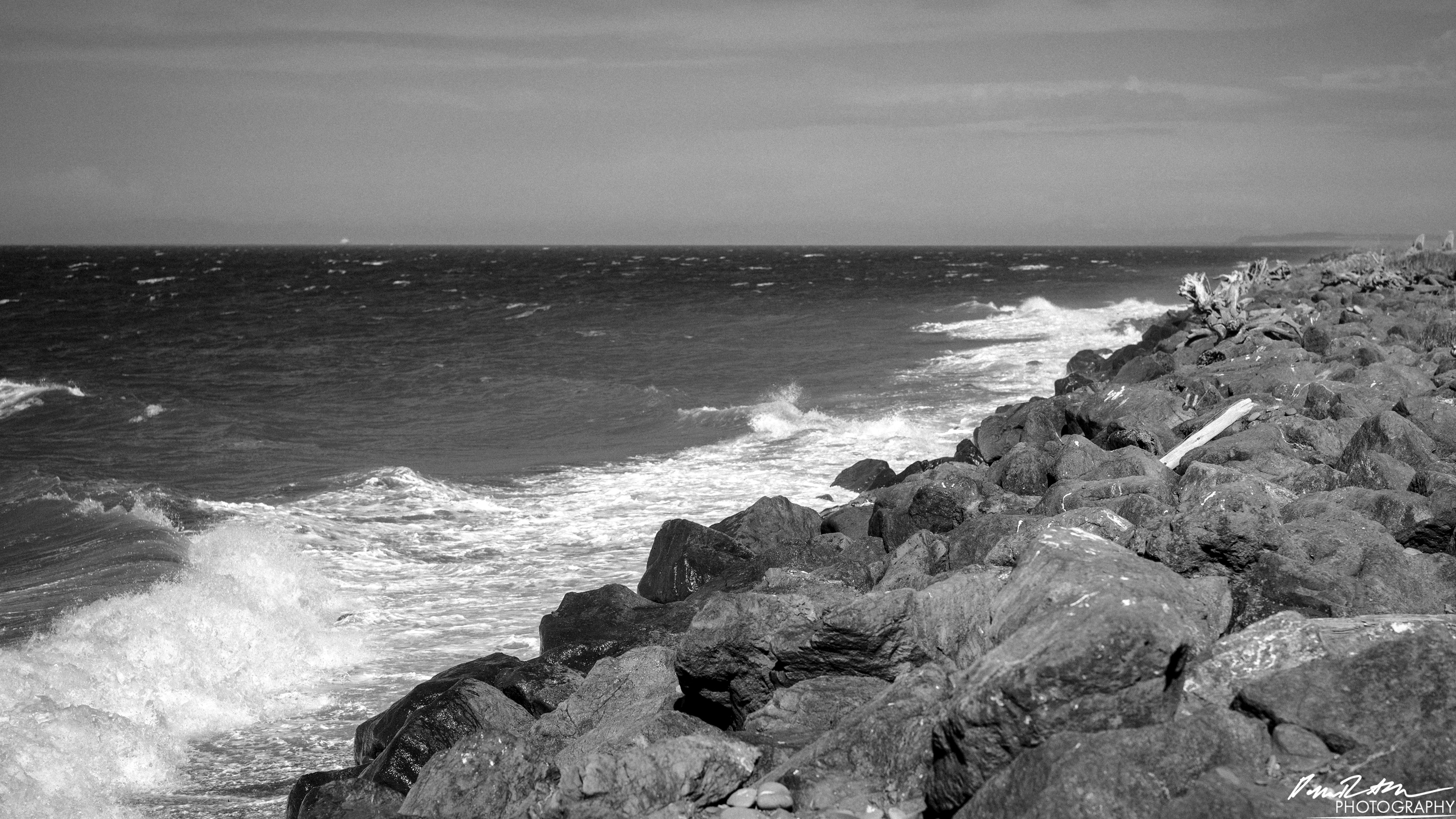 The Open Sea - Port Angeles