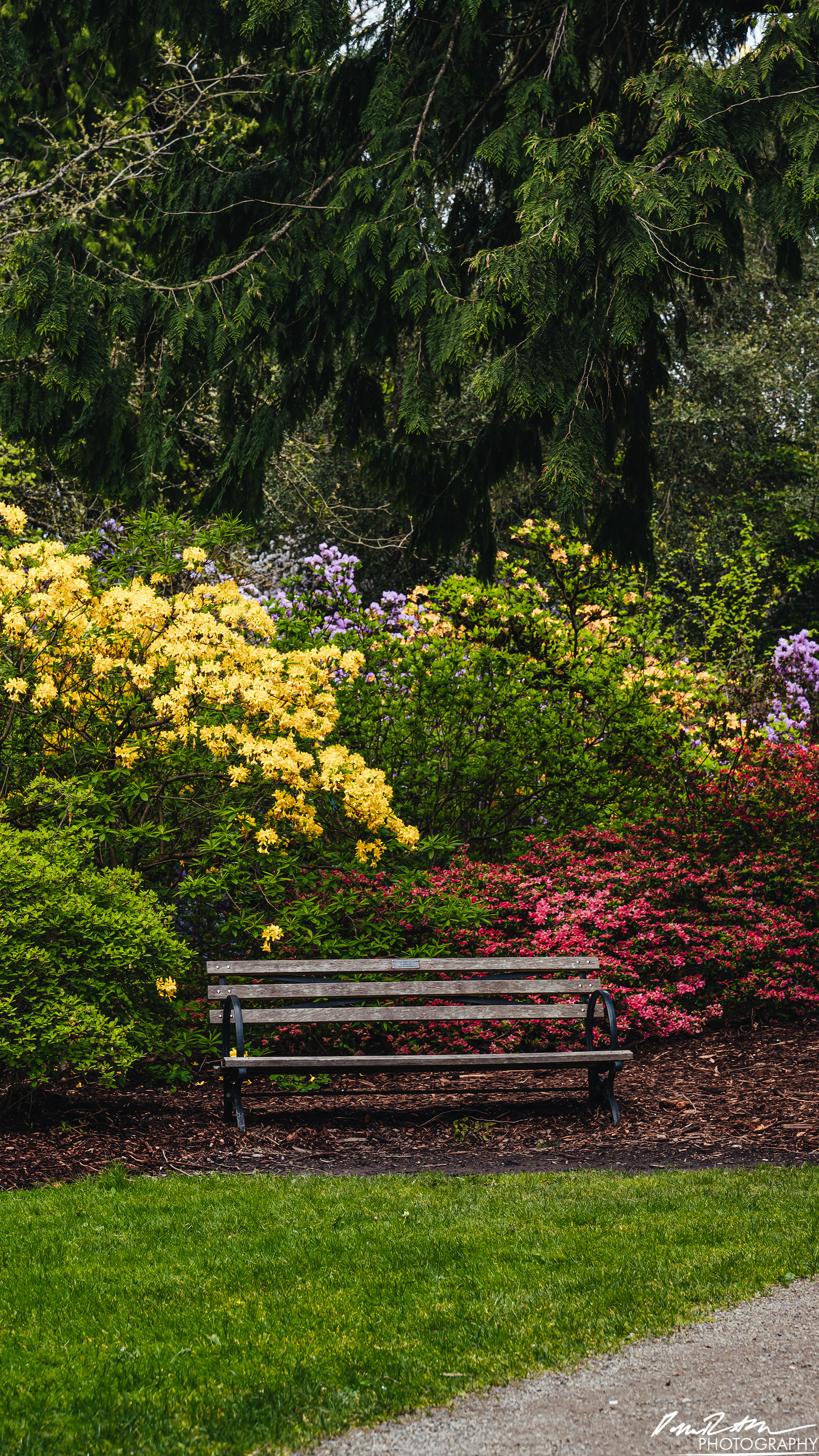 All Alone - Seattle WA