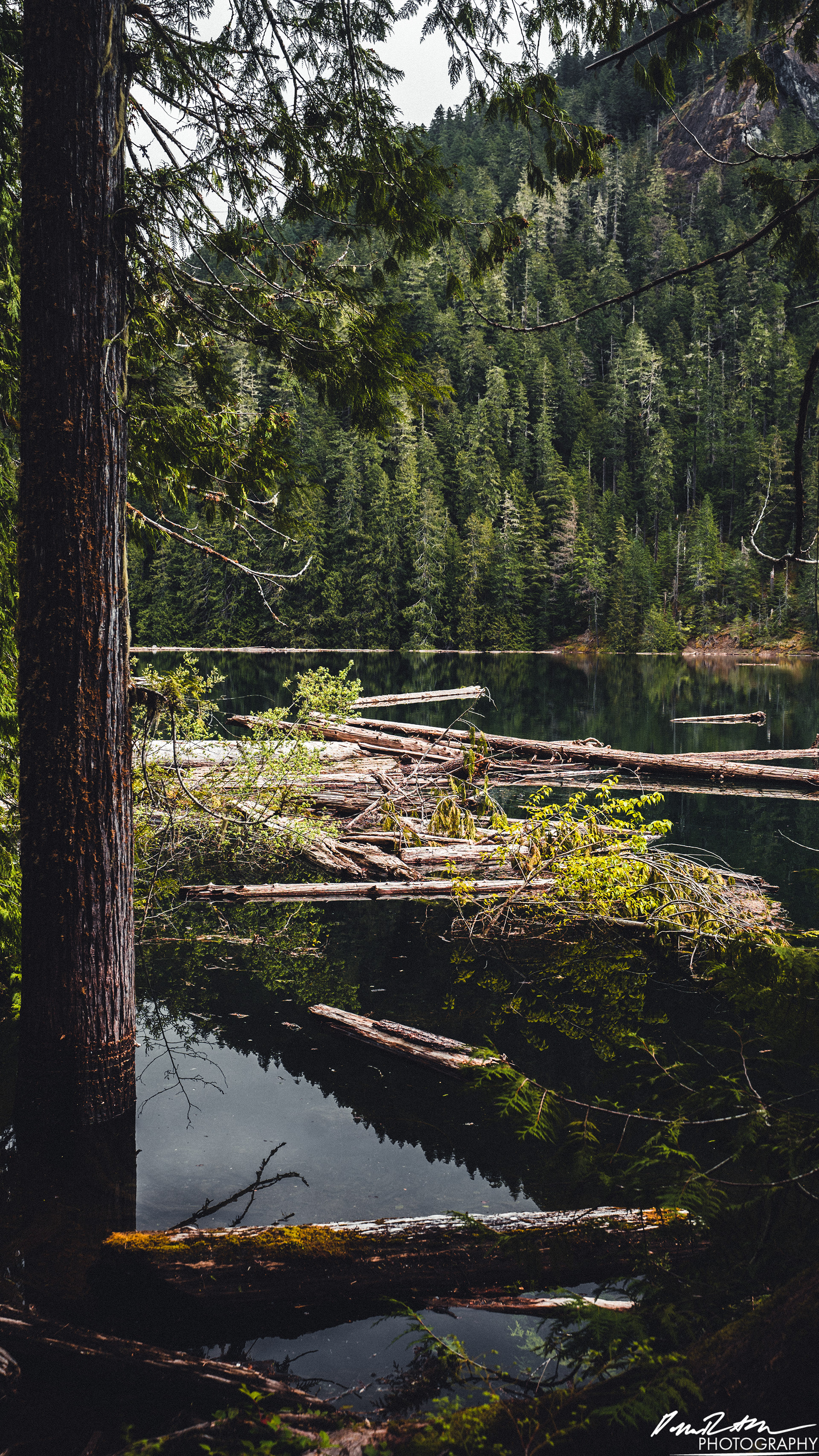 Snow Melt - Lena Lake