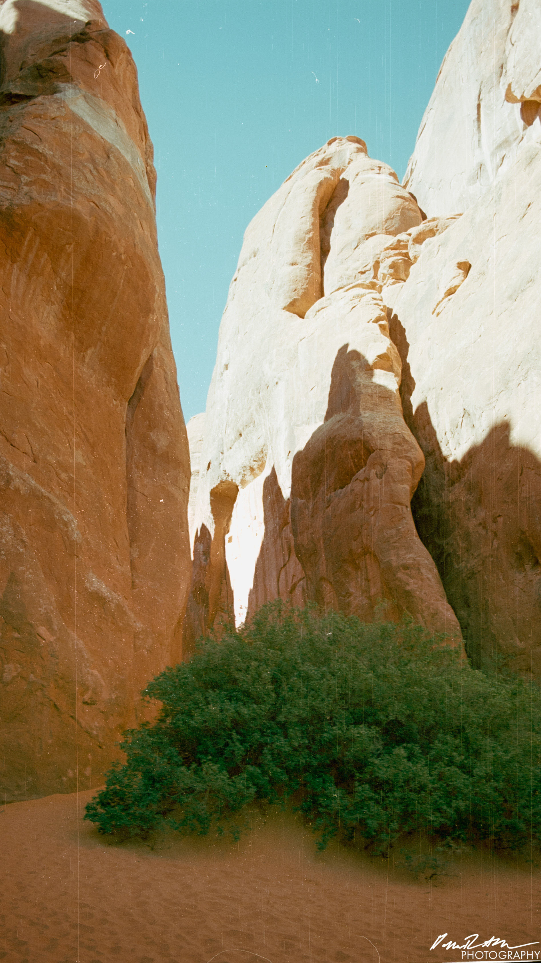 Arches on 35mm - Arches National Park