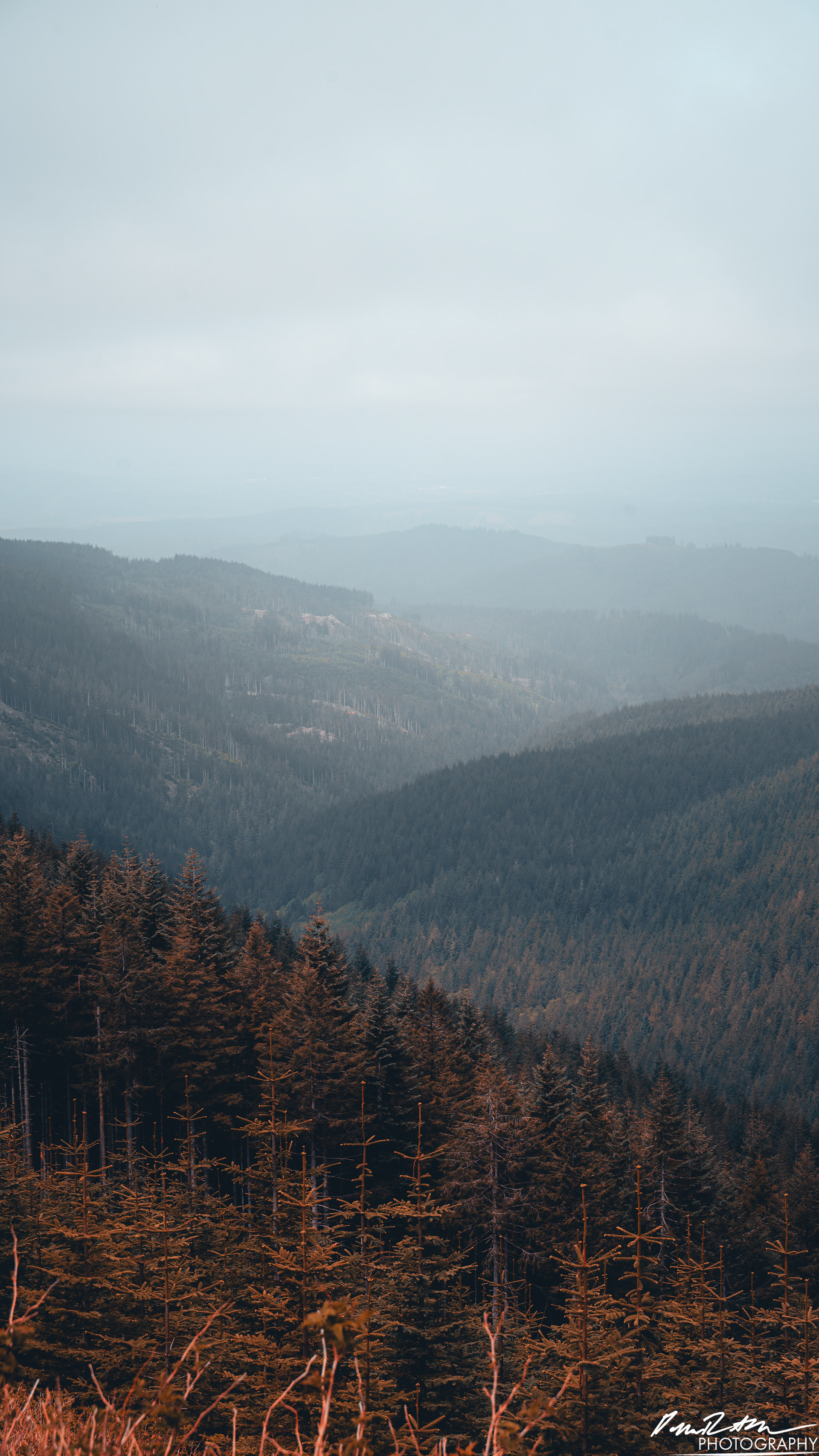 Numbers Station - Olympia WA