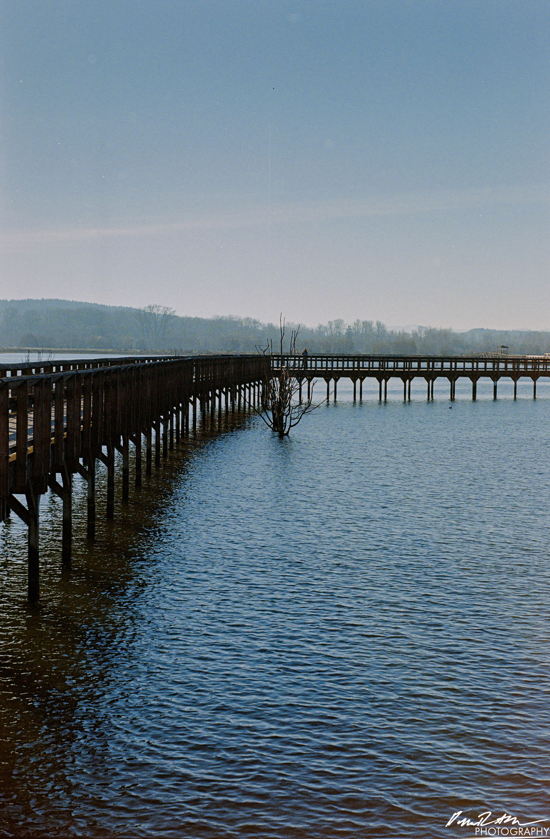 Fujifilm 400 - Nisqually Wildlife Preserve WA