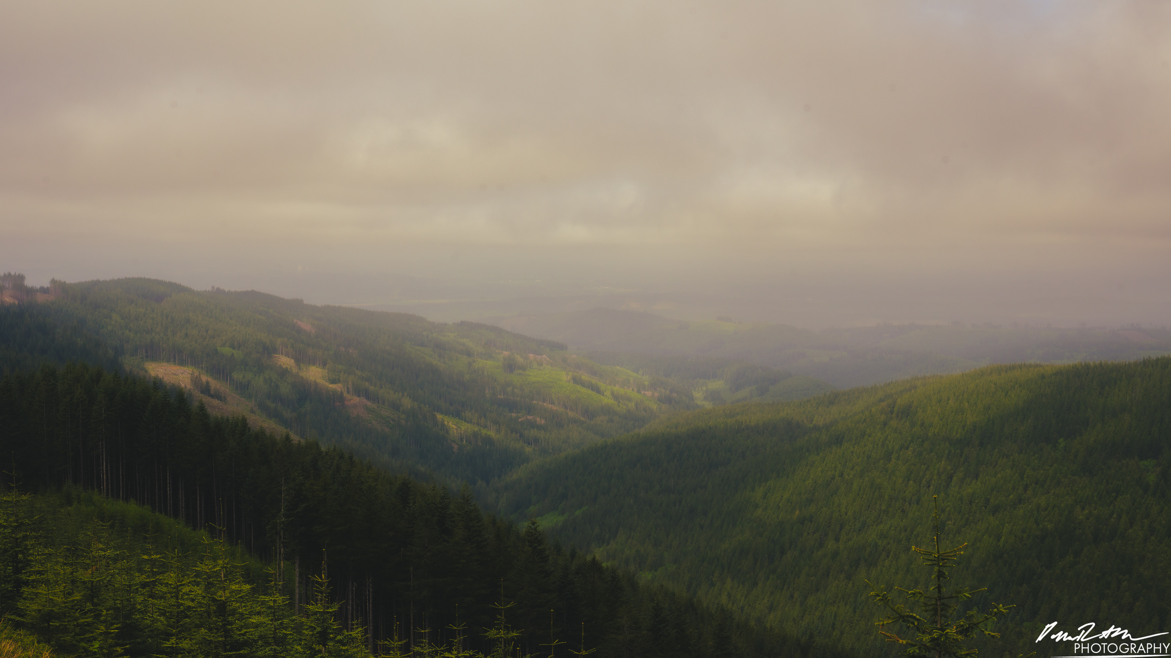 Numbers Station - Olympia WA