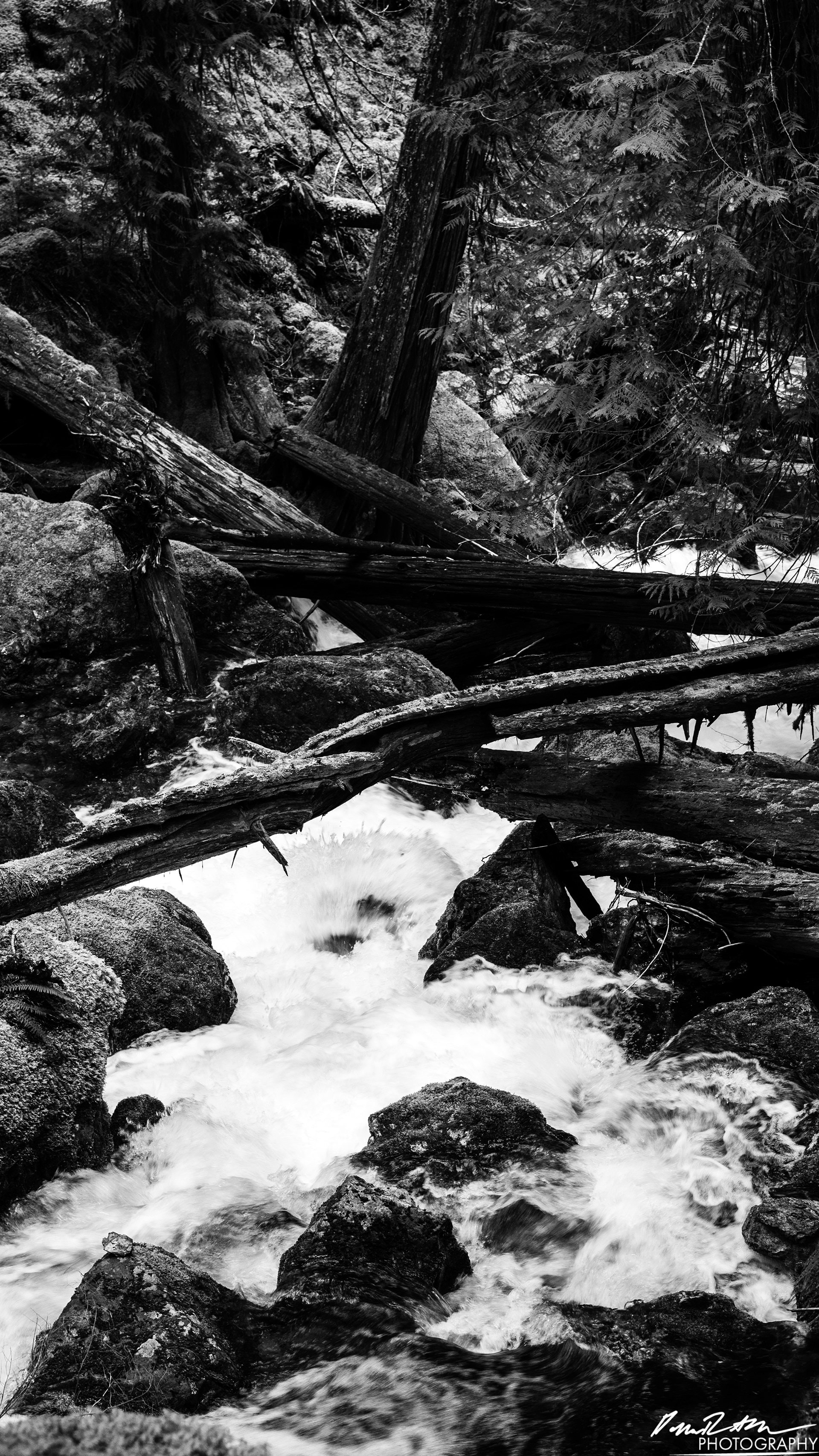 Snow Melt - Lena Lake