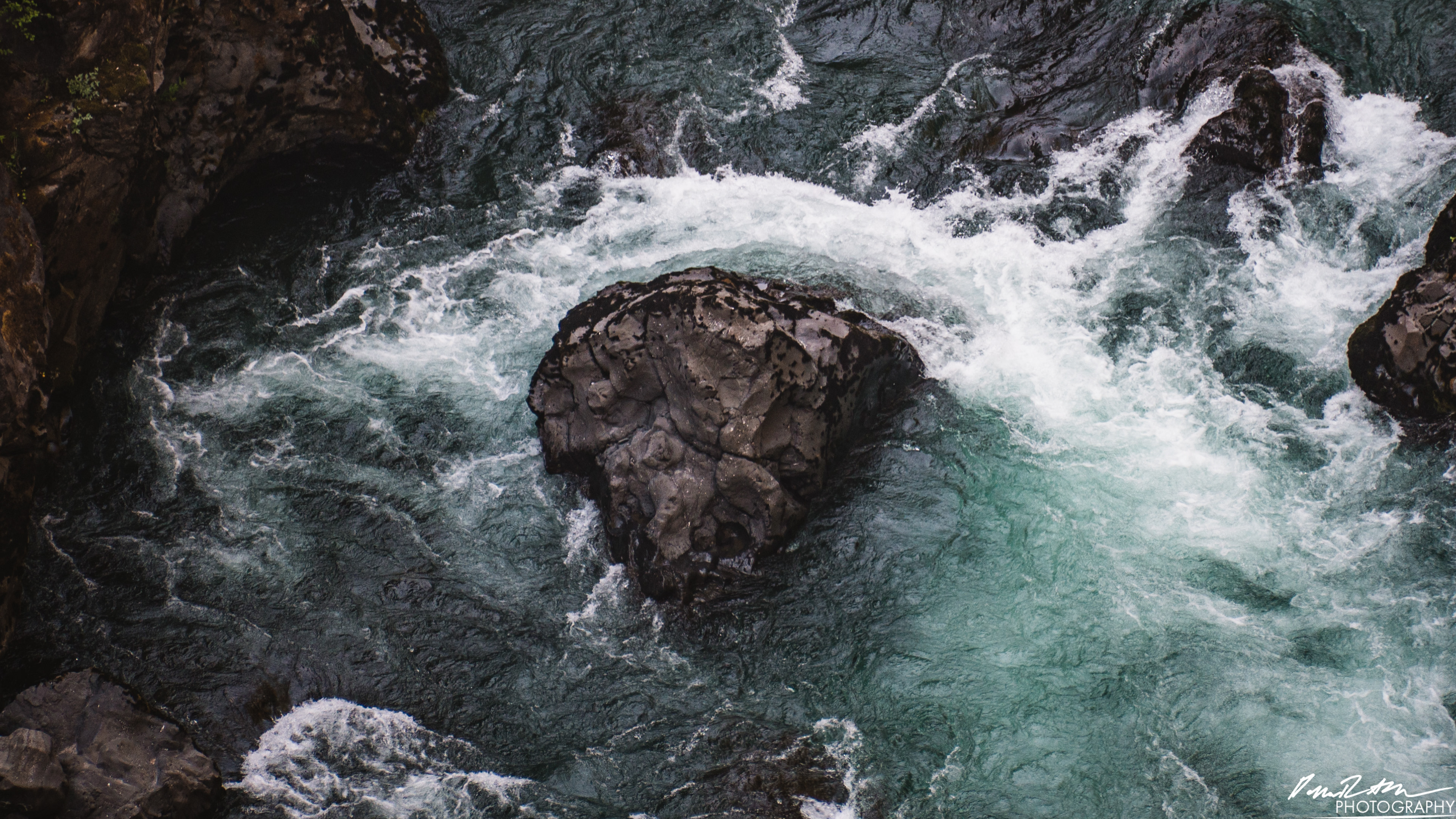 CAUTION - Olympic National Forest